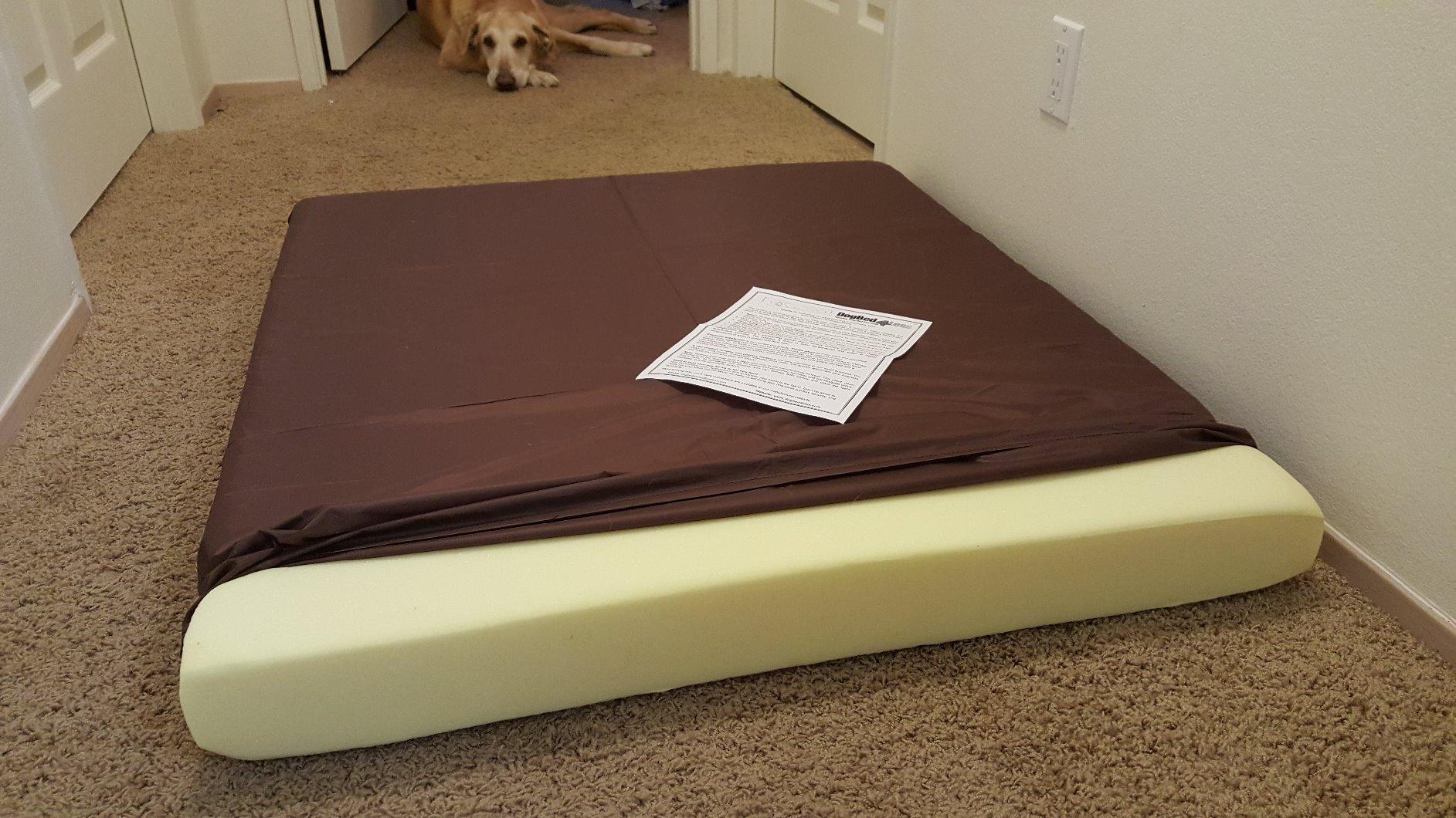 Dogbed4less Extra Large Orthopedic Memory Foam Dog Bed for Large Dogs with Durable Waterproof Internal Case, Removable Washable Denim Cover and Bonus Pet Bed Cover, 47X29X4 Fits 48X30 Dog Crate, Blue customer photo 1
