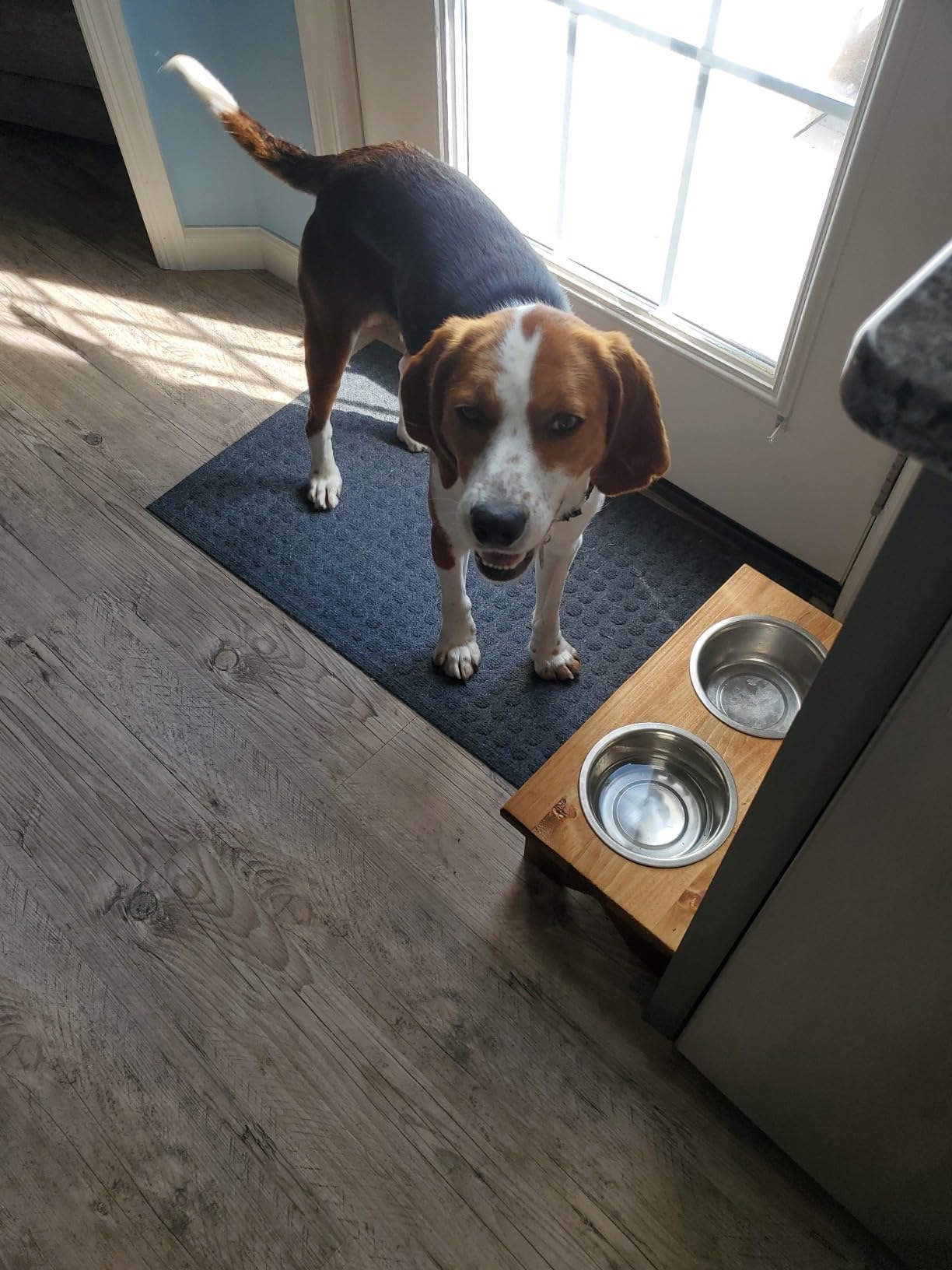 PetSafe Happy Ride Metal Dog Barrier customer photo 2