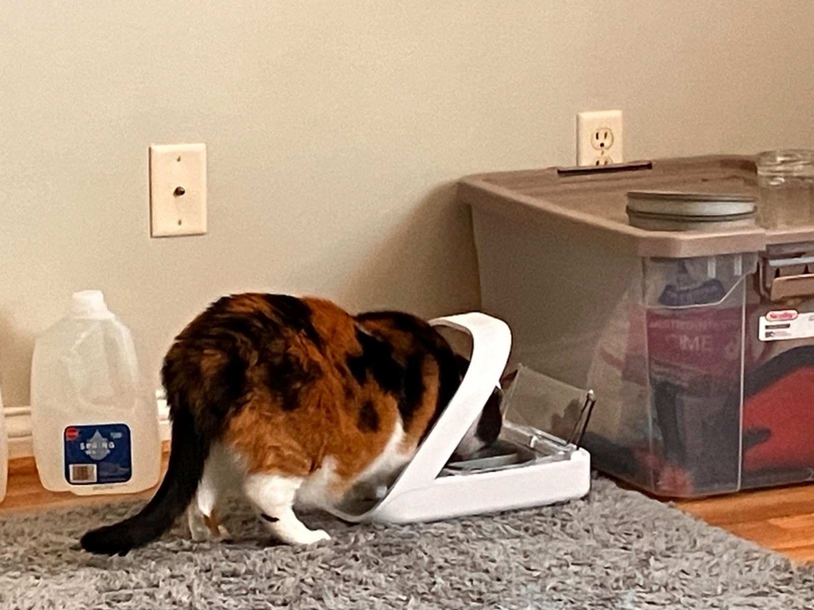 Sure Petcare -SureFlap - SureFeed - Microchip Pet Feeder - Selective-Automatic Pet Feeder Makes Meal Times Stress-Free, Suitable for Both Wet and Dry Food - MPF001 customer photo 1