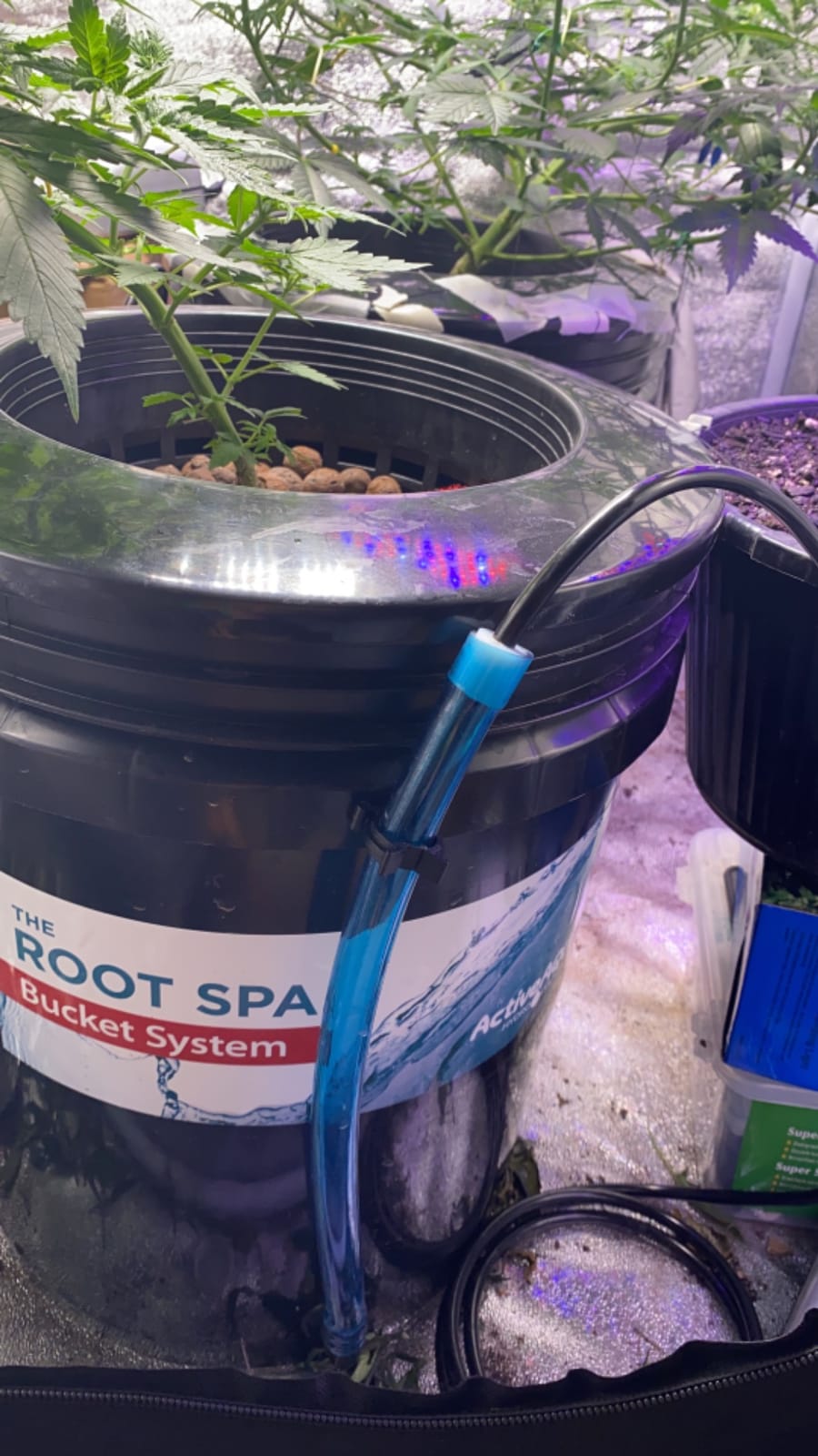 Hydrofarm RS5GALSYS Root Spa Deep Water Culture Bucket System, 5 Gallon, black customer photo 1