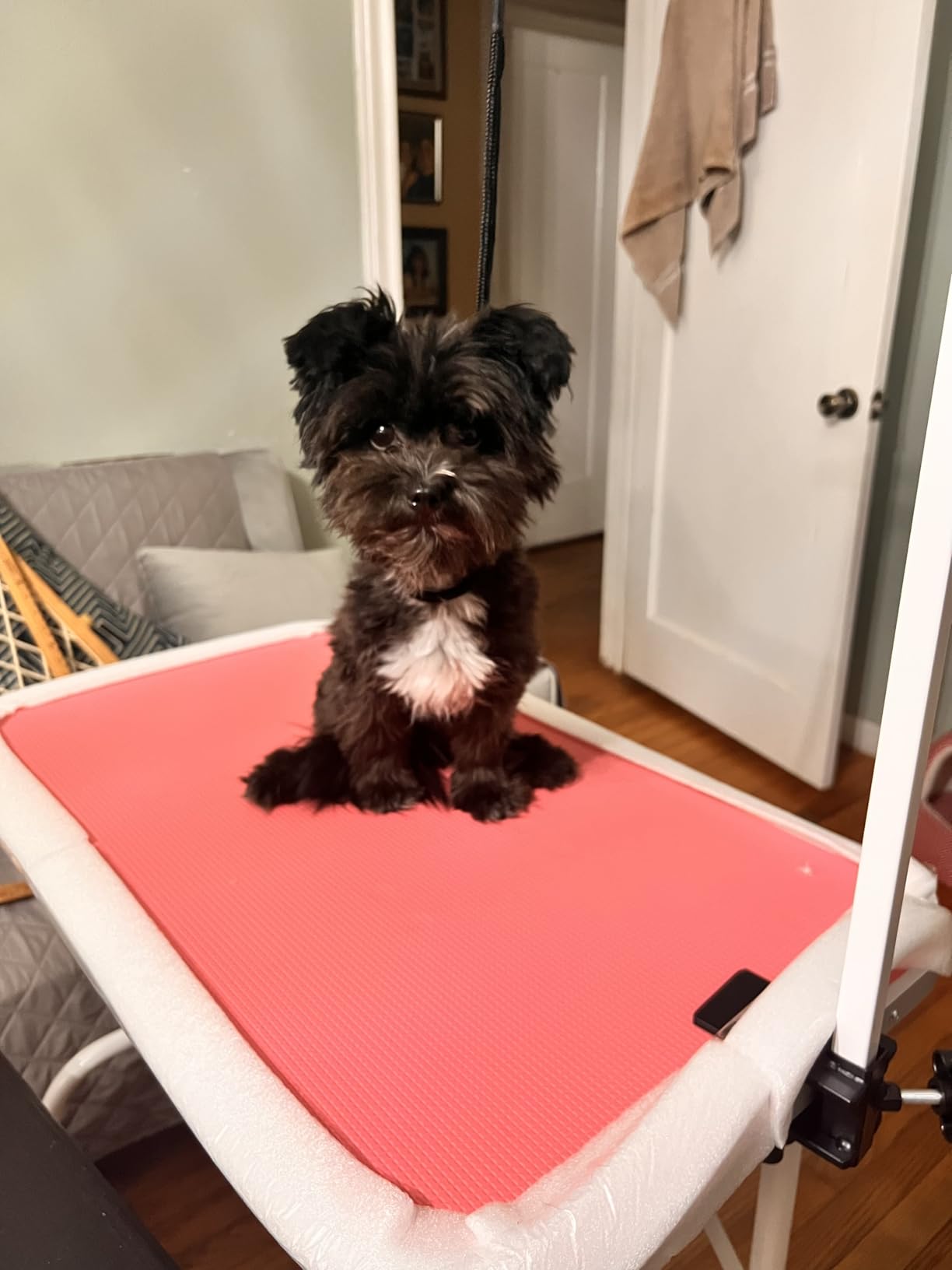 Yaheetech 32 Inch Sturdy Dog Grooming Table for Home, Black customer photo 1