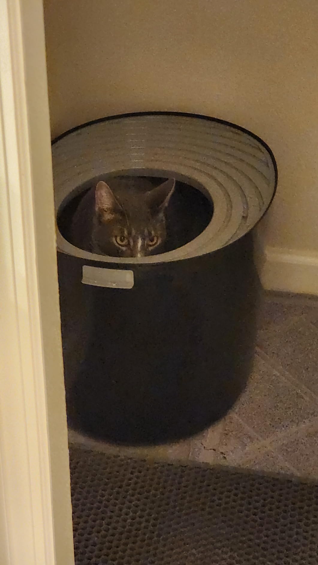 IRIS USA Large Top Entry Cat Litter Box, Hooded Privacy, Beige/White customer photo 1