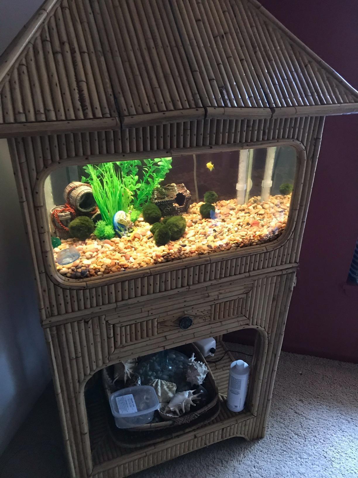Penn-Plax Cascade Canister Aquarium Filter (1000 Elite) customer photo 2