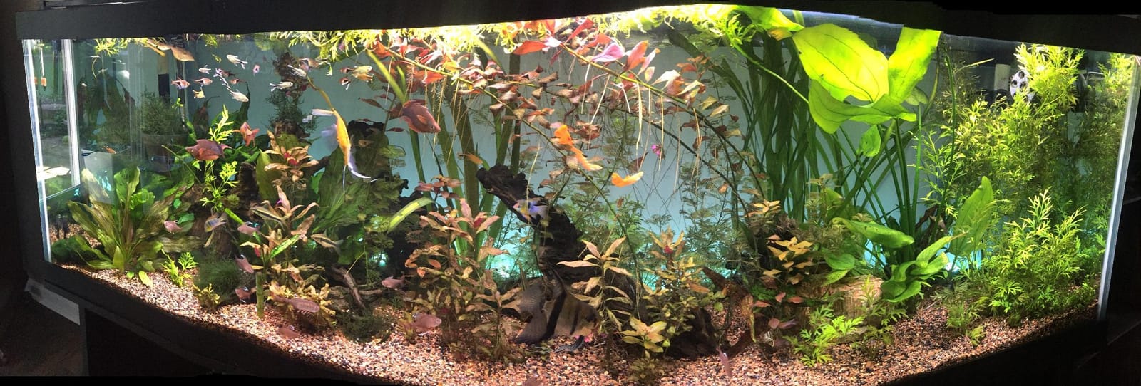 Fluval Gravel Cleaner Kit, A370, Black customer photo 1