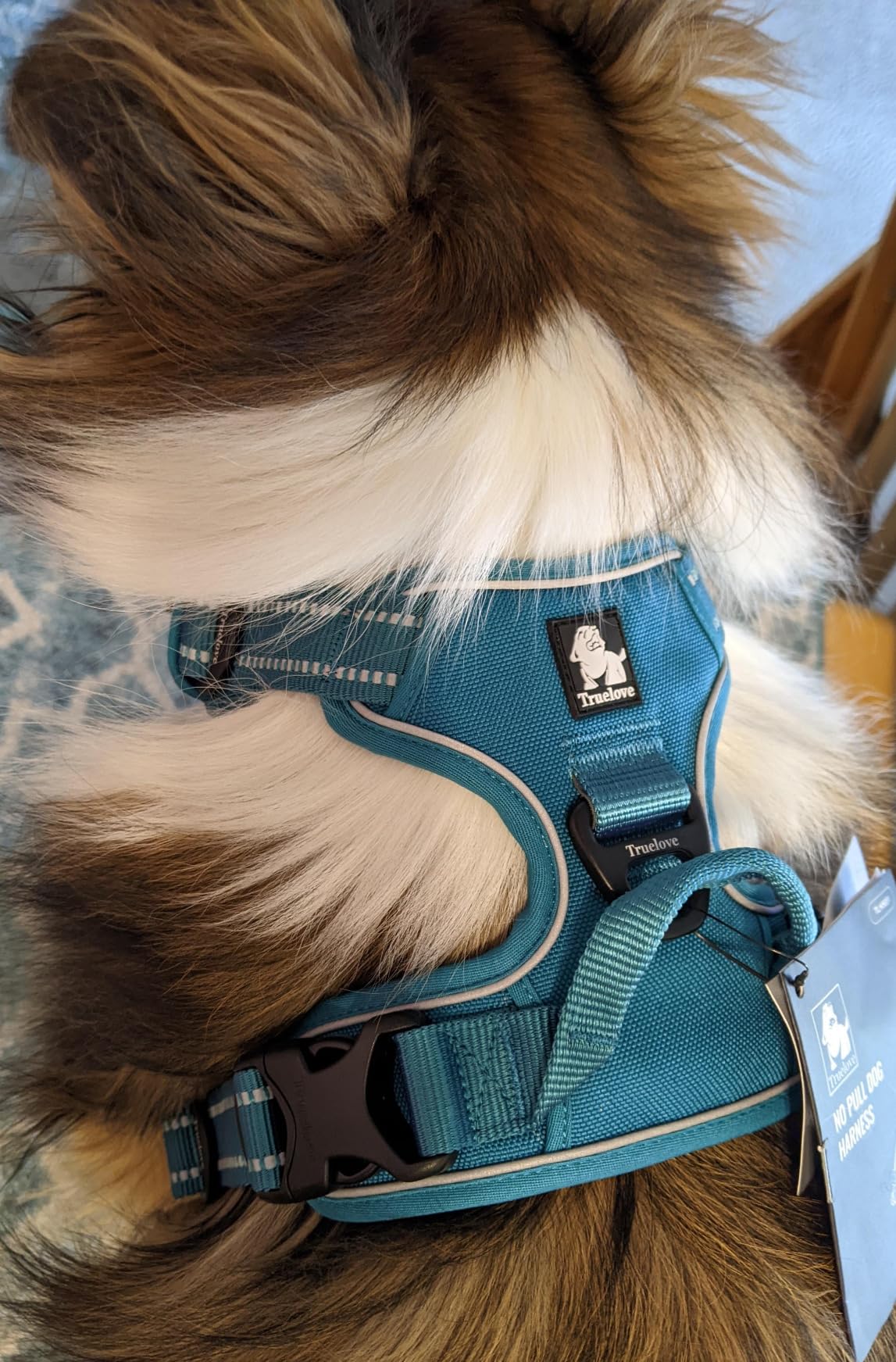 JUXZH Truelove No Pull Dog Harness with Easy Control Handle and 2 Leash Attachments,Reflective Adjustable Pet Vest customer photo 2