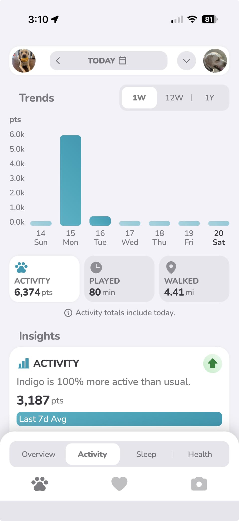 FitBark 2 Dog Activity Monitor | Health & Fitness Tracker for Dogs | Waterproof, Small & Leightweight (10 g) | Not a GPS Tracker customer photo 1