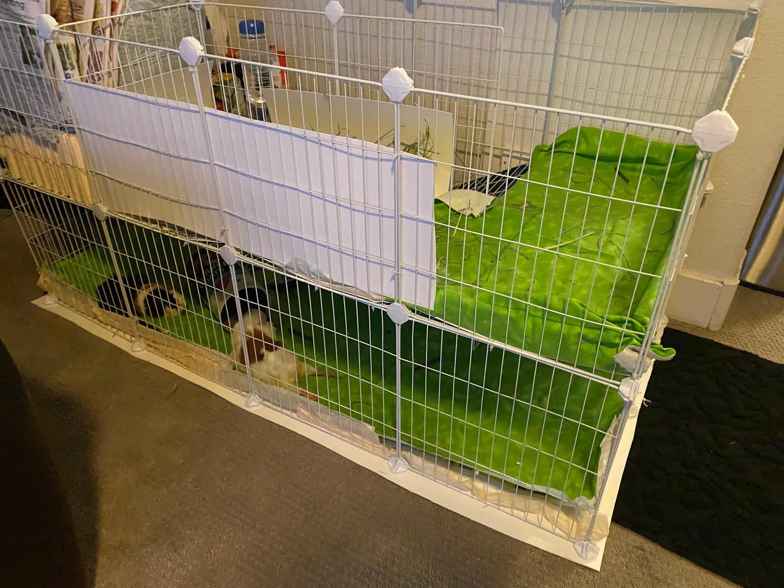 SONGMICS Pet Playpen, Small Animal Playpen customer photo 1