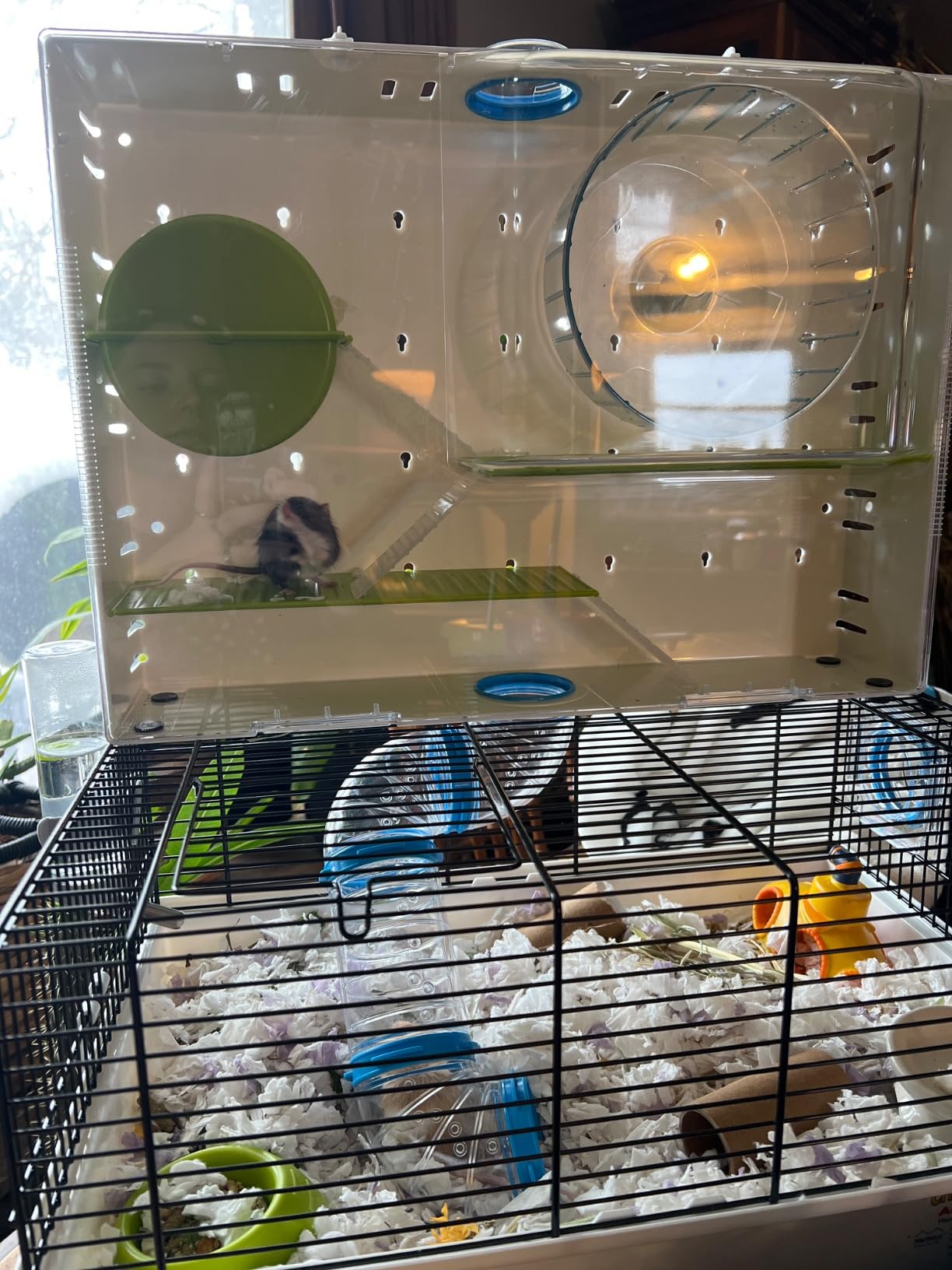 MidWest Homes for Pets Hamster Cage | Awesome Arcade Hamster Home (White) | 18.11 x 11.61 x 21.26 Inch customer photo 1