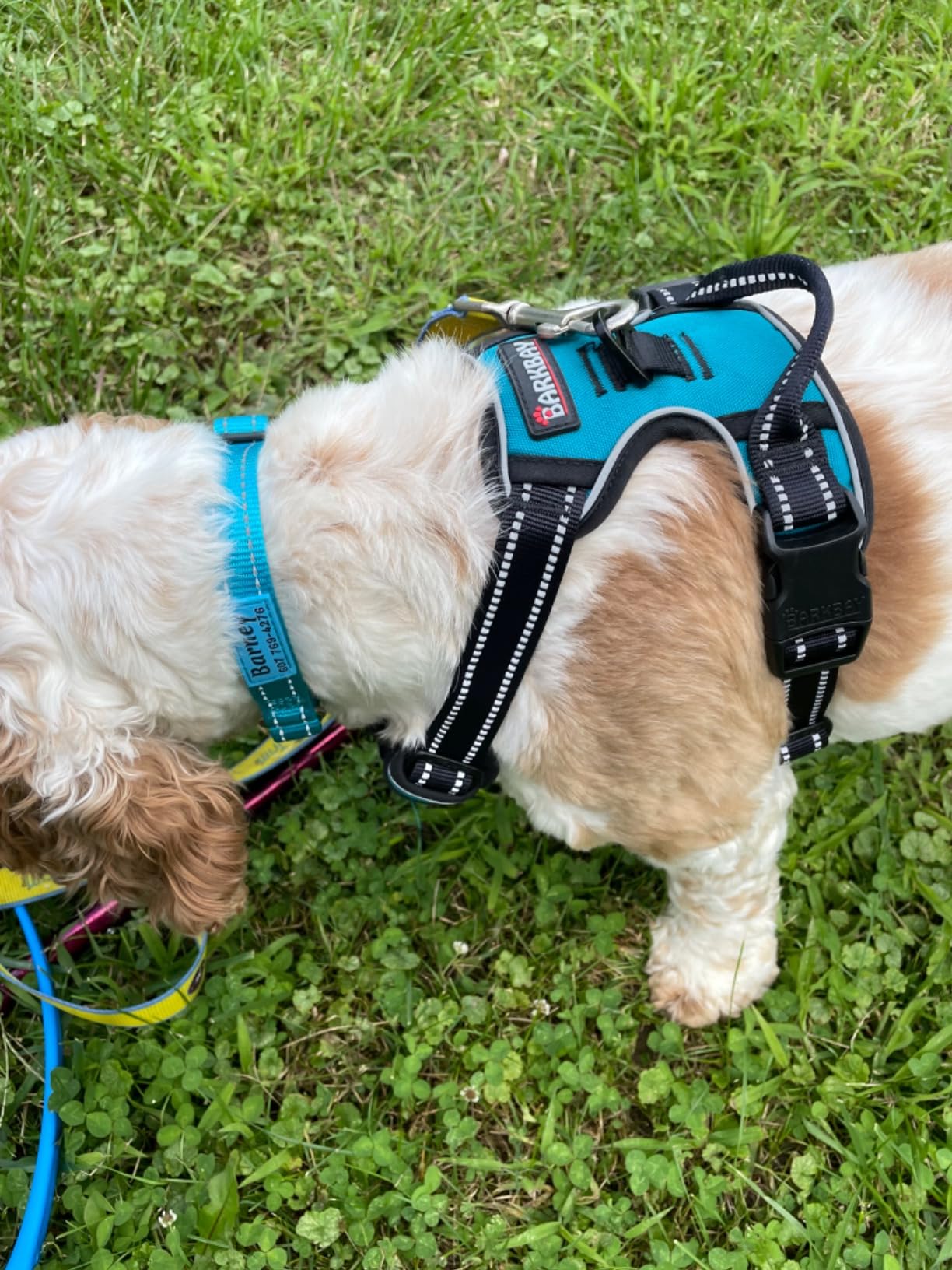 BARKBAY Dog Harness No Pull for Large Dogs Front Back Clips,Dog Vest customer photo 2