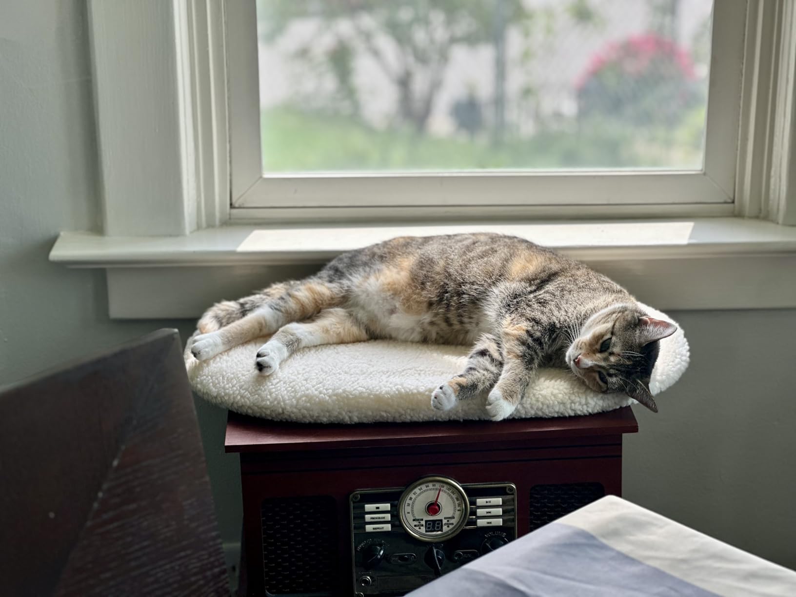 K&H Cat Window Perch, Unheated Kitty Sill, 24x14in, Fleece customer photo 1
