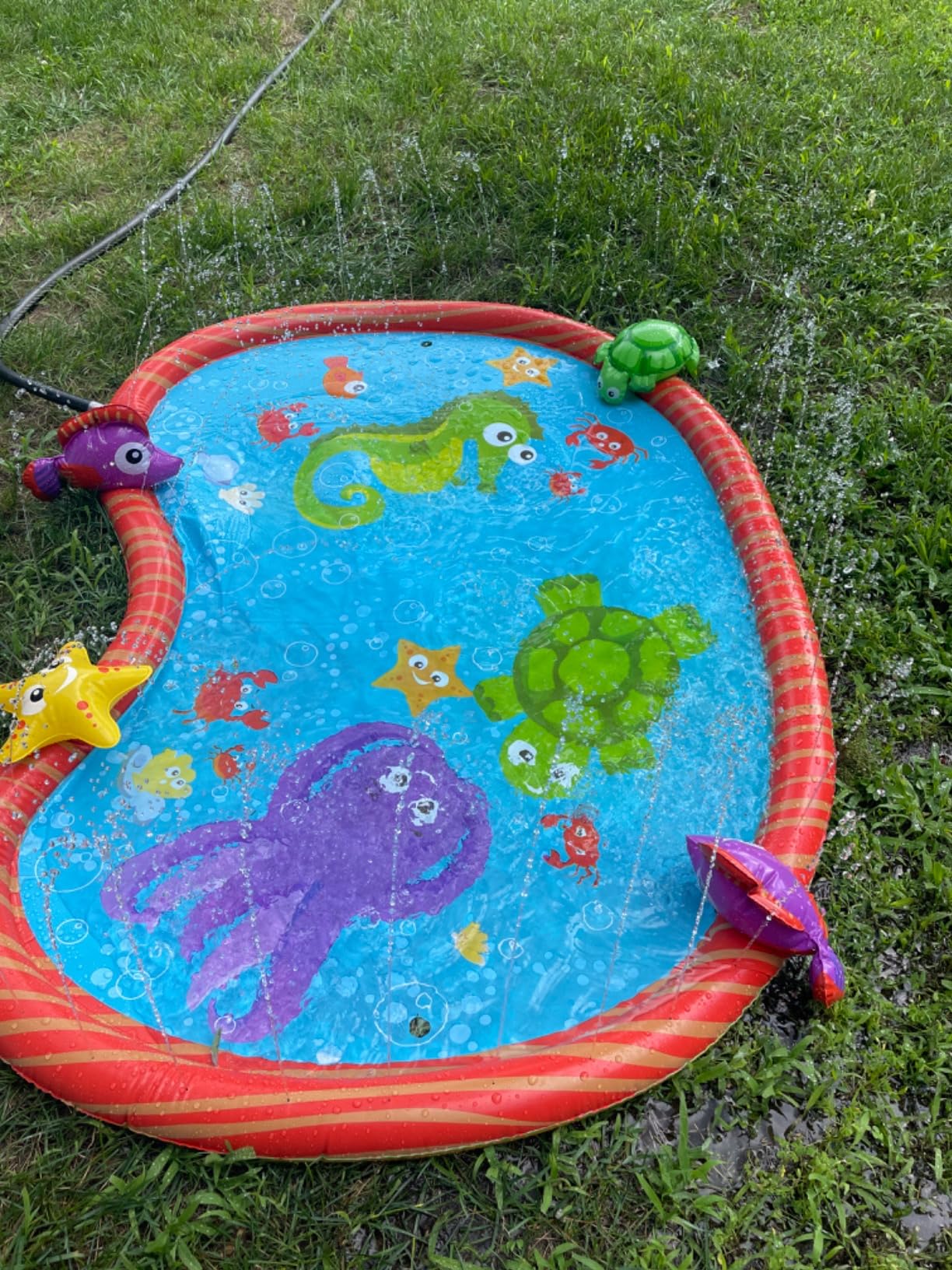 BANZAI Splash Pad Toddler Water Play Mat, 58 in Outdoor Kids Sprinkler Mat with 3D Sea Characters, Baby Splash Pad for Backyard Summer Fun customer photo 2