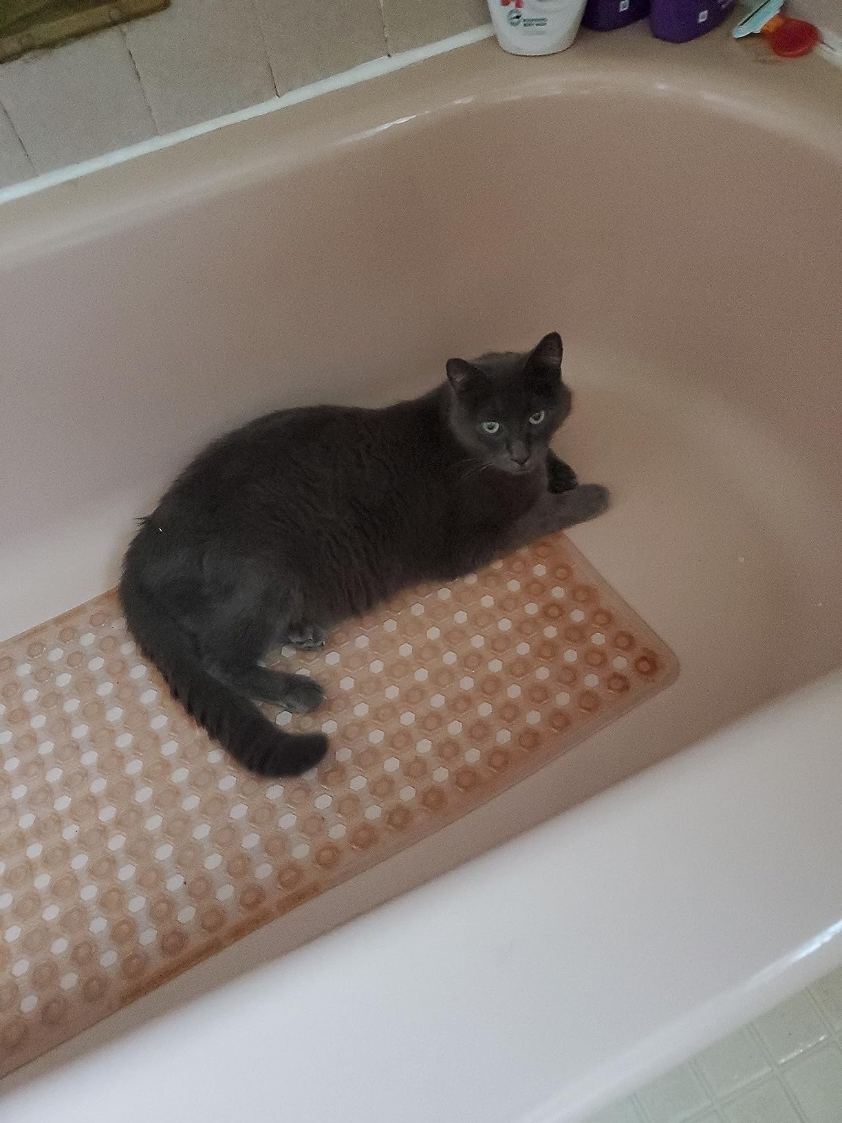 WePet Cat Litter Box Mat, Kitty Premium PVC Pad, Durable Trapping Rug, Phthalate Free, Urine-Resistant, Scatter Control, XXL 47 x 36 Inch, Grey customer photo 2