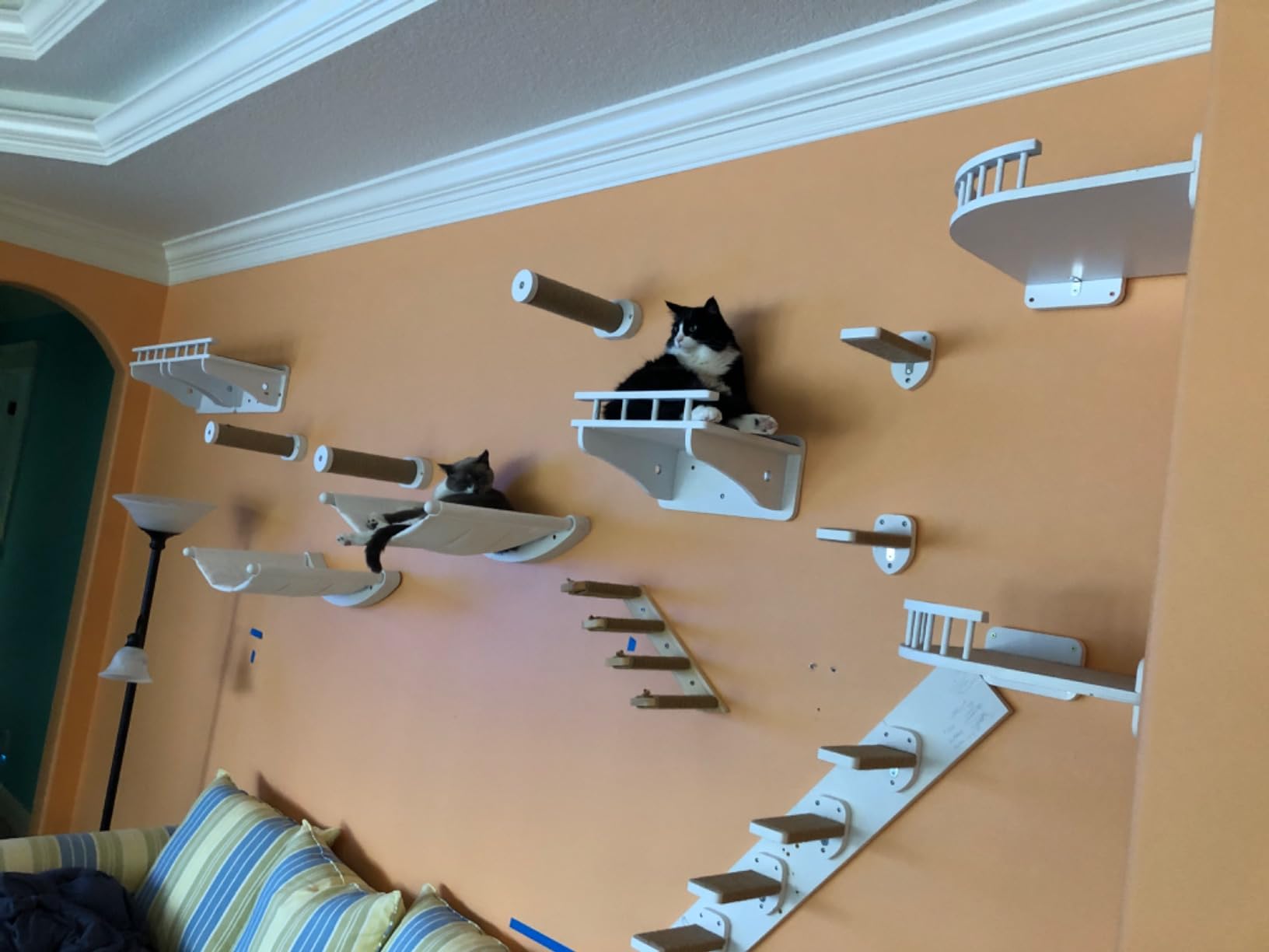 7 Ruby Road Cat Wall Hammock with 2 Steps for Large Cats customer photo 2