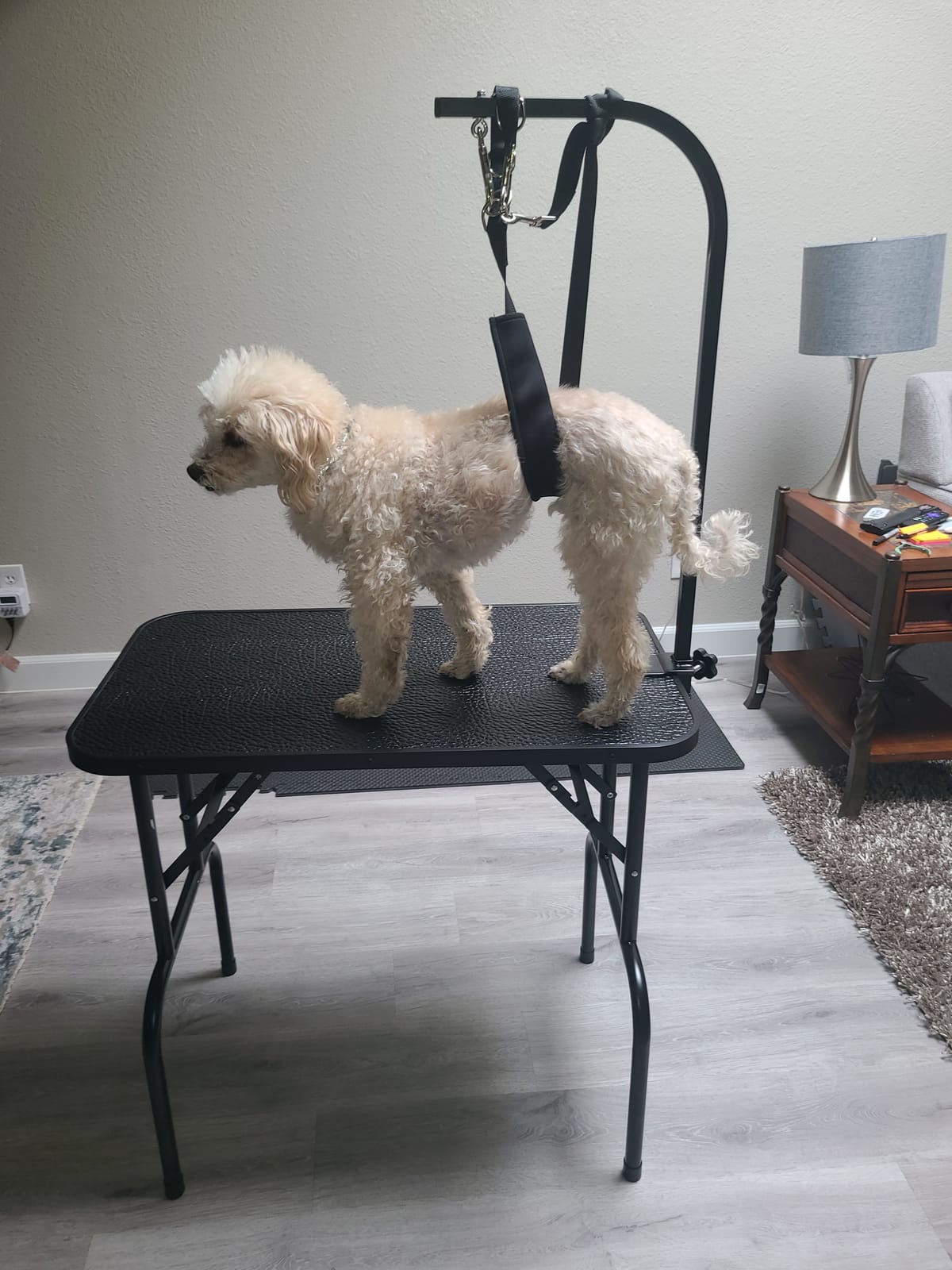 Topeakmart Foldable Pet Grooming Table - Professional Dog Cat Trimming Table w/Adjustable Arm/Noose 32 x 18 x 30 inch Maximum Capacity Up to 220lbs customer photo 2