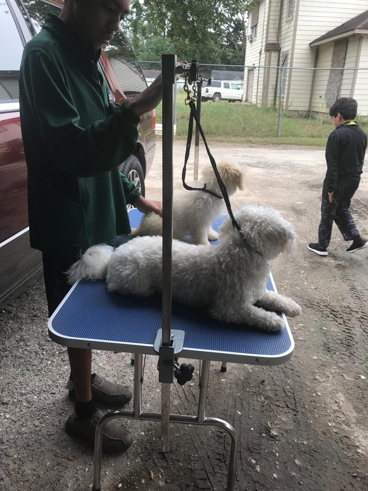 Bonnlo 32-inches Pet Grooming Table, Portable Dog Grooming Table with Arm Noose & Mesh Tray, Adjustable Foldable Pet Groom Table Stand for Dog Cat, Maximum Capacity Up to 330 LBS (32in) customer photo 1