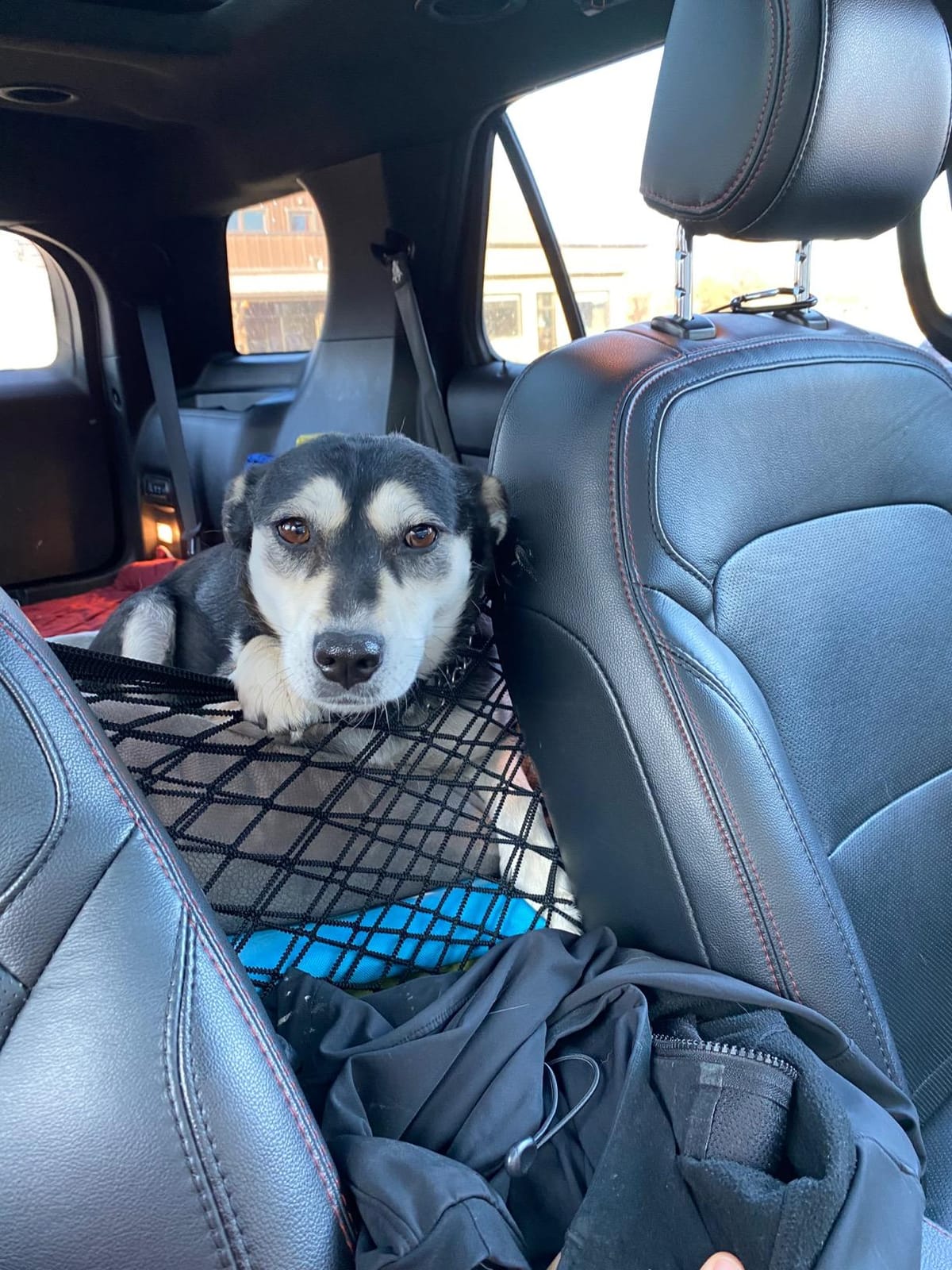 rabbitgoo Dog Car Net Barrier for SUVs, Car Divider, Easy to Install customer photo 2