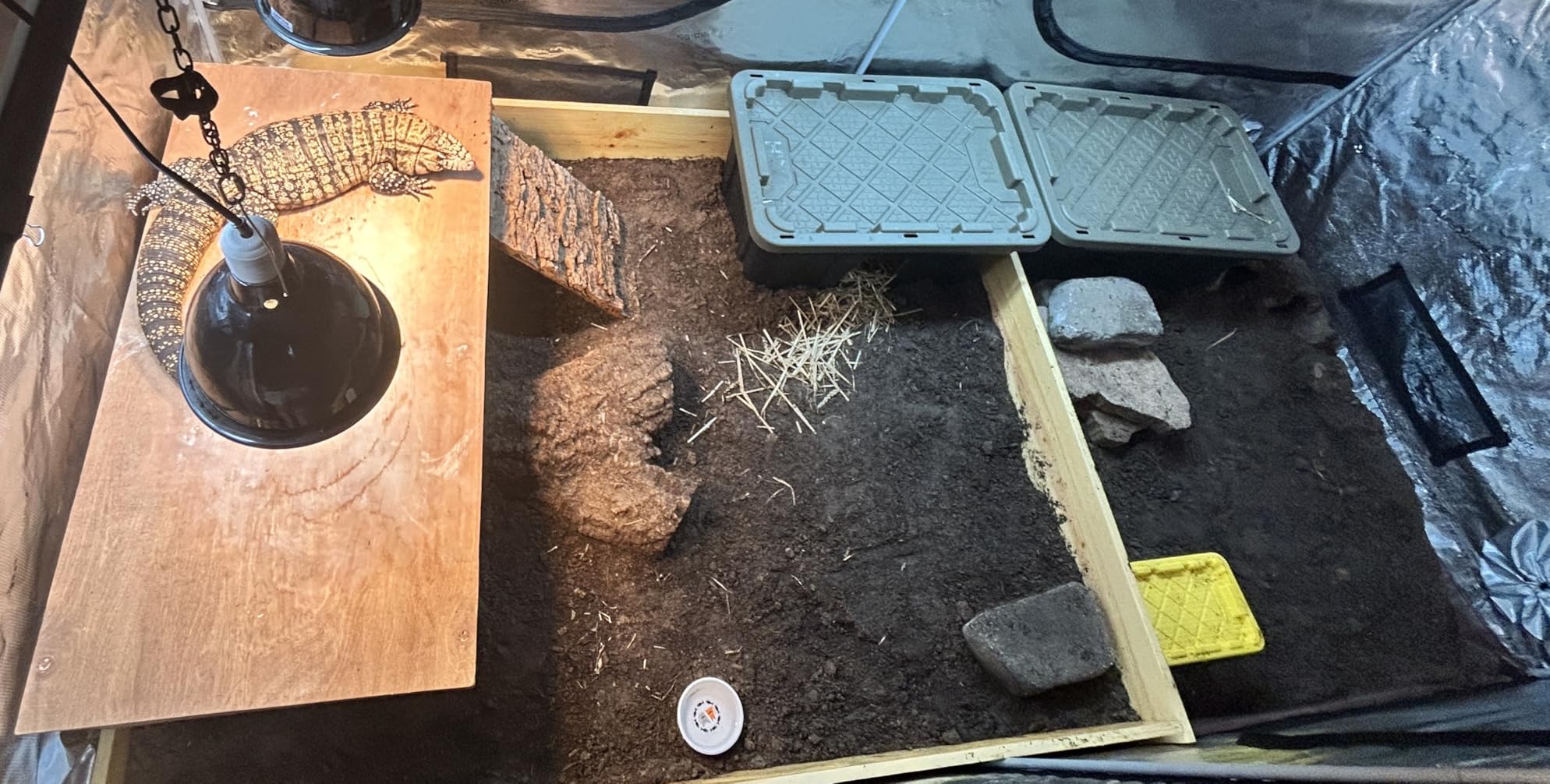 Spider Farmer 2.3x2.3 Grow Tent, 28