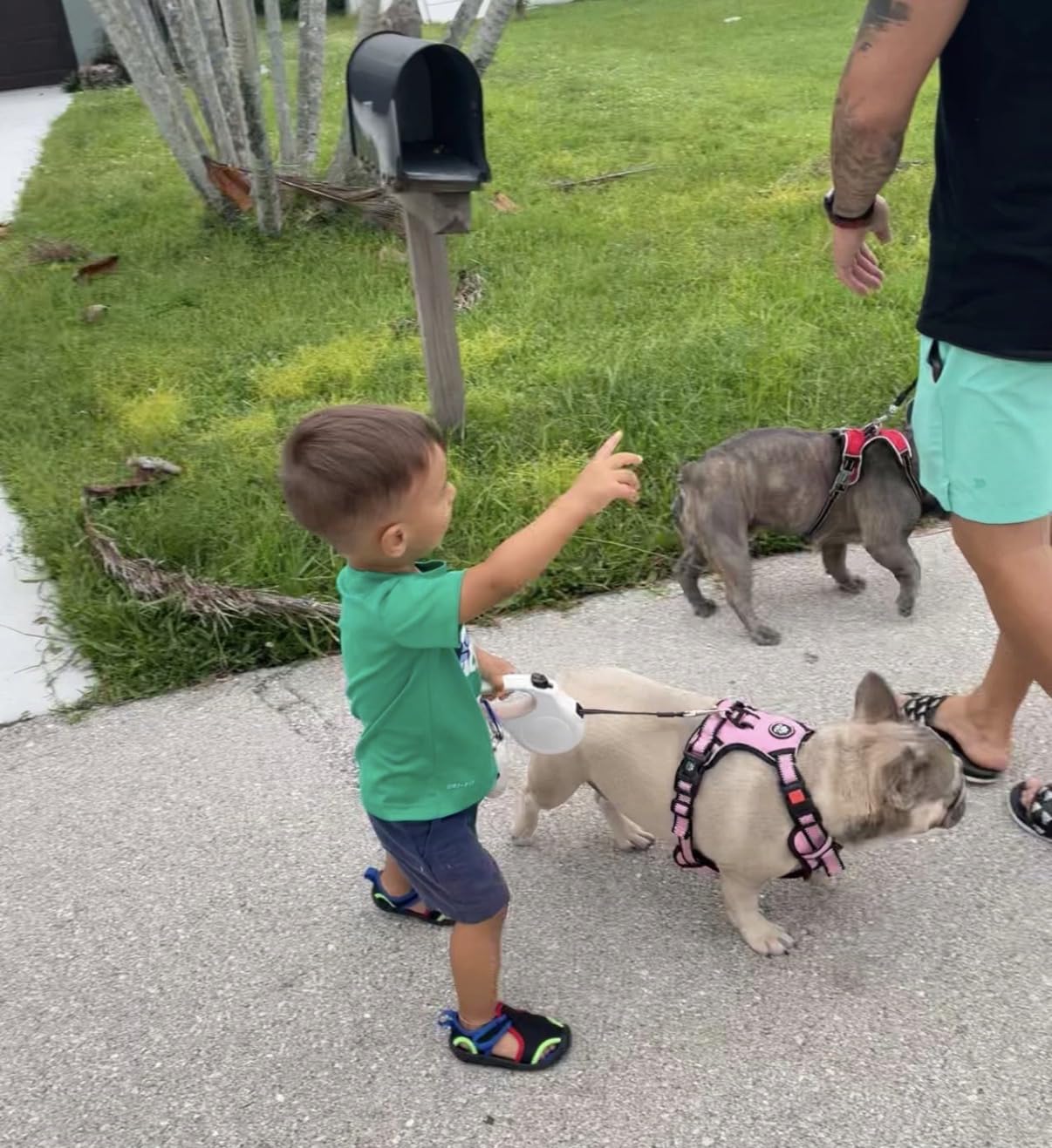 Fida Retractable Dog Leash with Dispenser and Poop Bags, 16ft, White & Pink customer photo 2