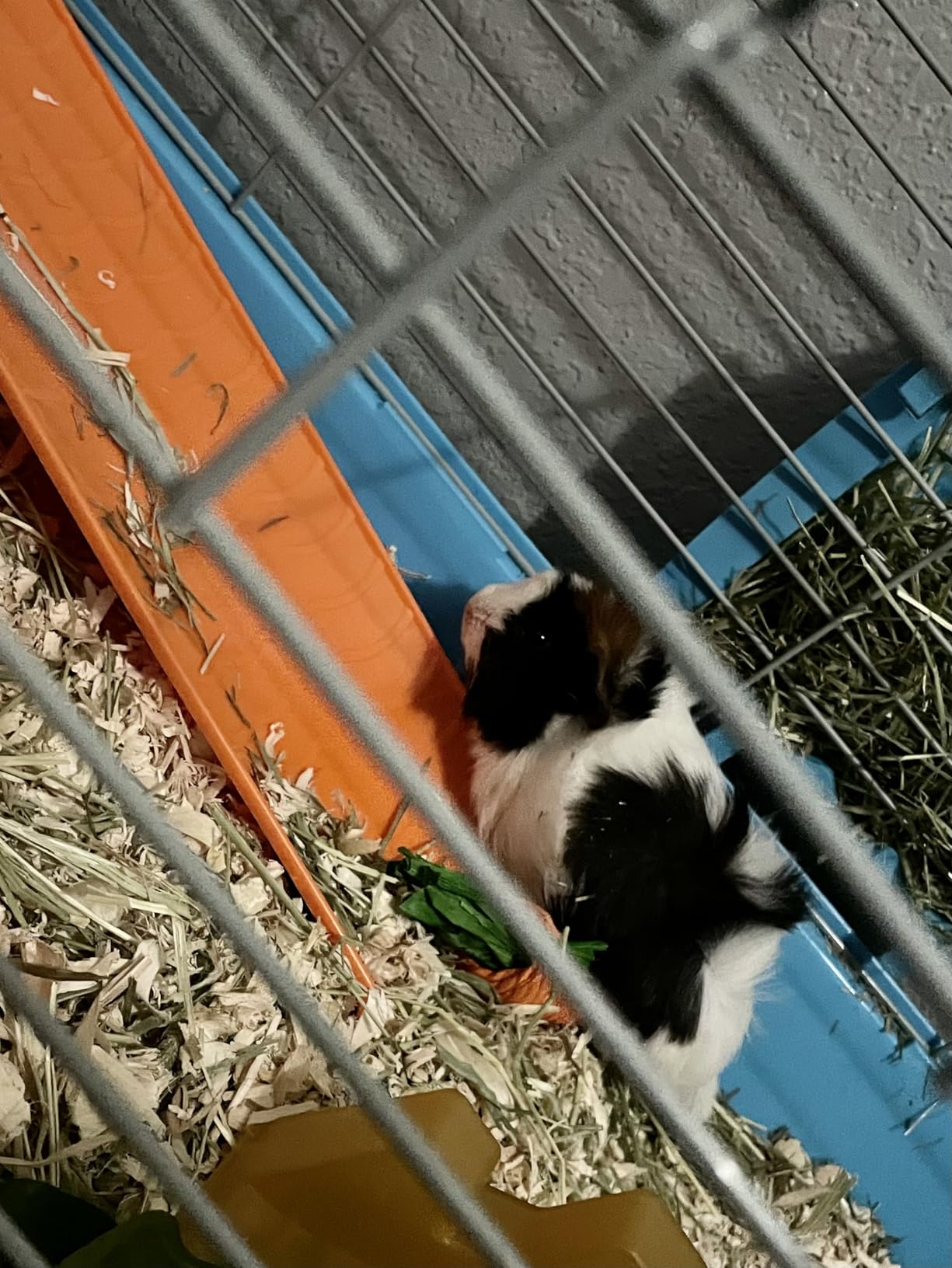 PawHut 47