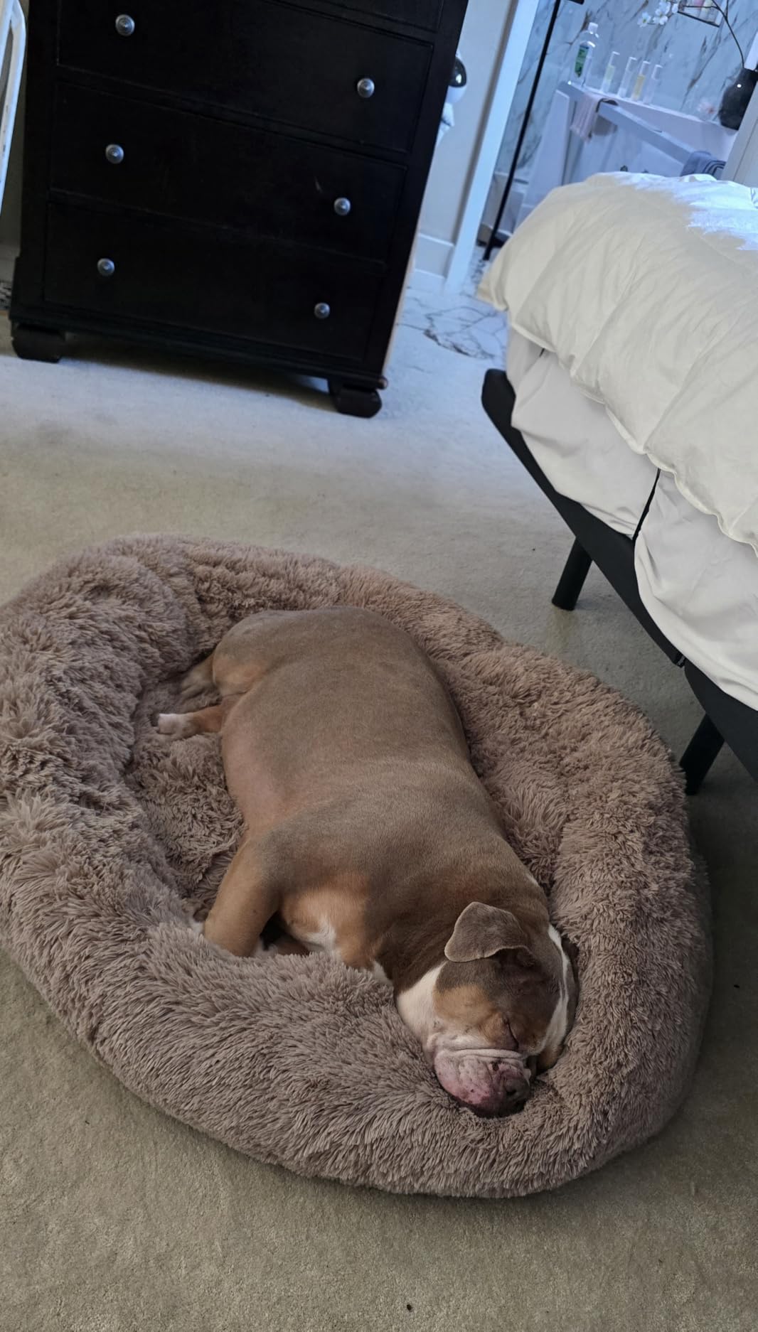 Bedsure Calming Dog Beds Large Sized Dog Donut Washable Pet Bed,36ins Camel customer photo 2
