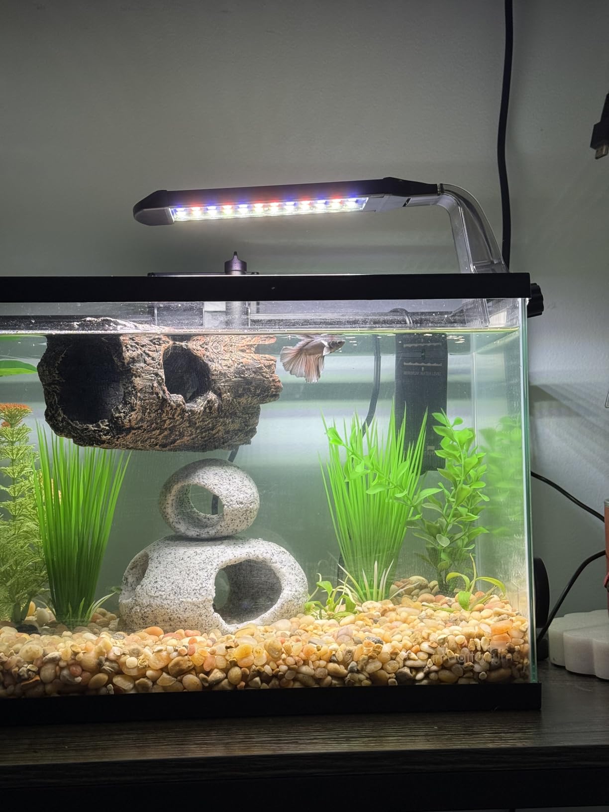 NICREW Clip-on Planted Aquarium Light for Fish Tank customer photo 1