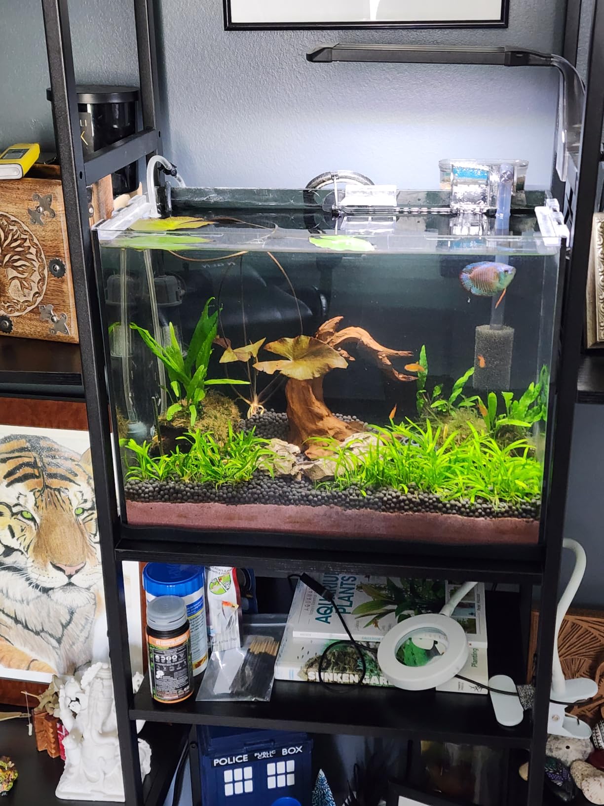 NICREW Clip-on Planted Aquarium Light for Fish Tank customer photo 2