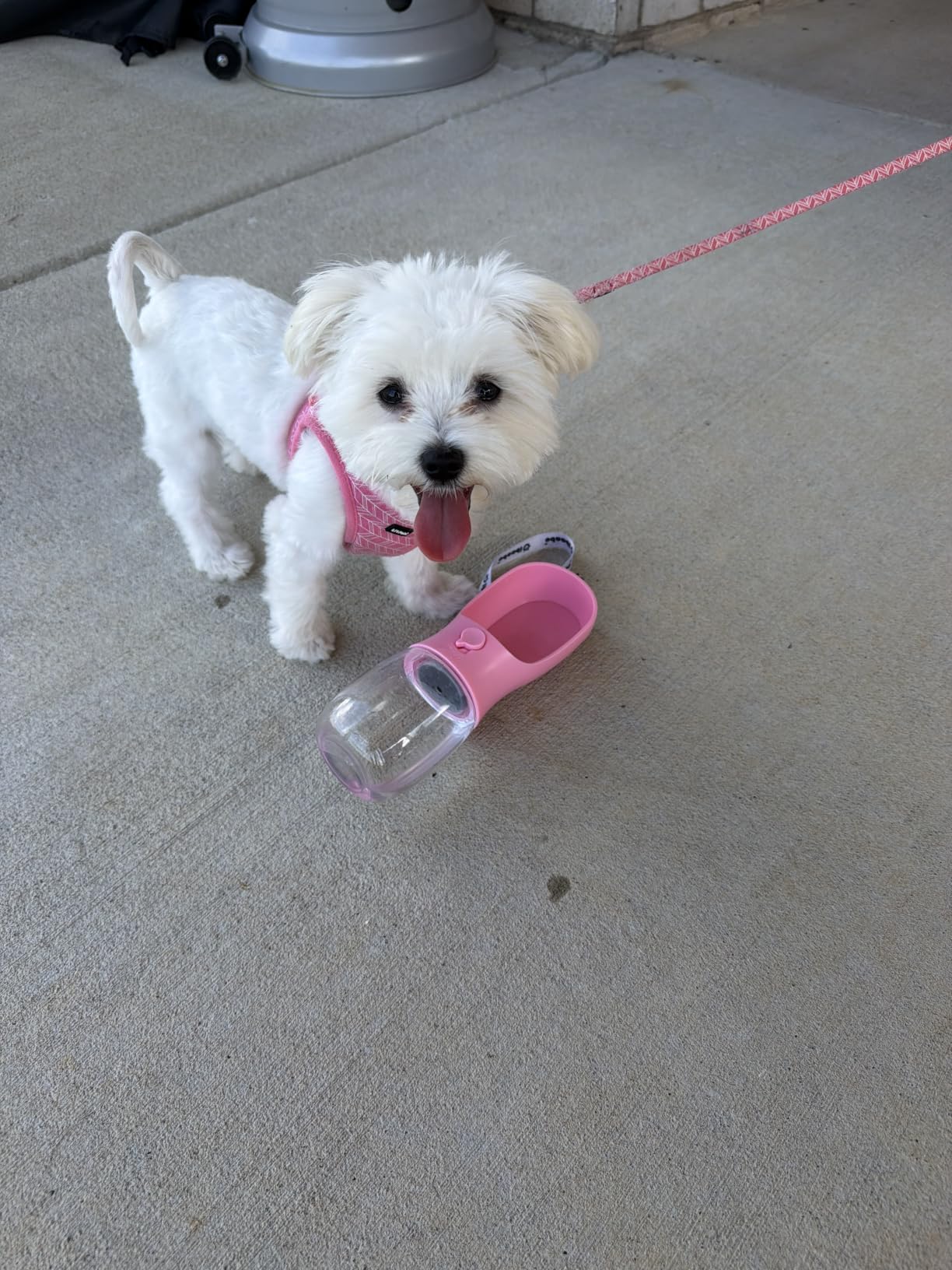 Cibaabo Dog Water Bottle Portable with Food Container & Filter for Travel customer photo 2