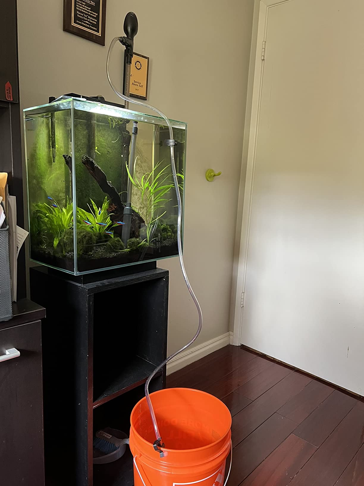 hygger Manual 256GPH Gravel Vacuum for Aquarium, Run in Seconds Aquarium Gravel Cleaner Low Water Level Water Changer Fish Tank Cleaner with Pinch or Grip Suction Ball Adjustable Length customer photo 2