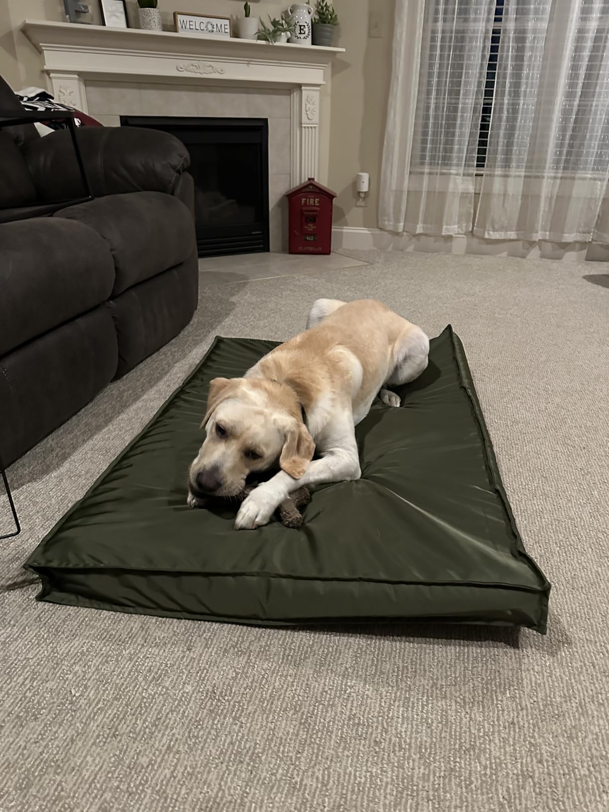 LE SURE Outdoor Waterproof Dog Beds Large Sized,Orthopedic Pet Mat,36x27In customer photo 2