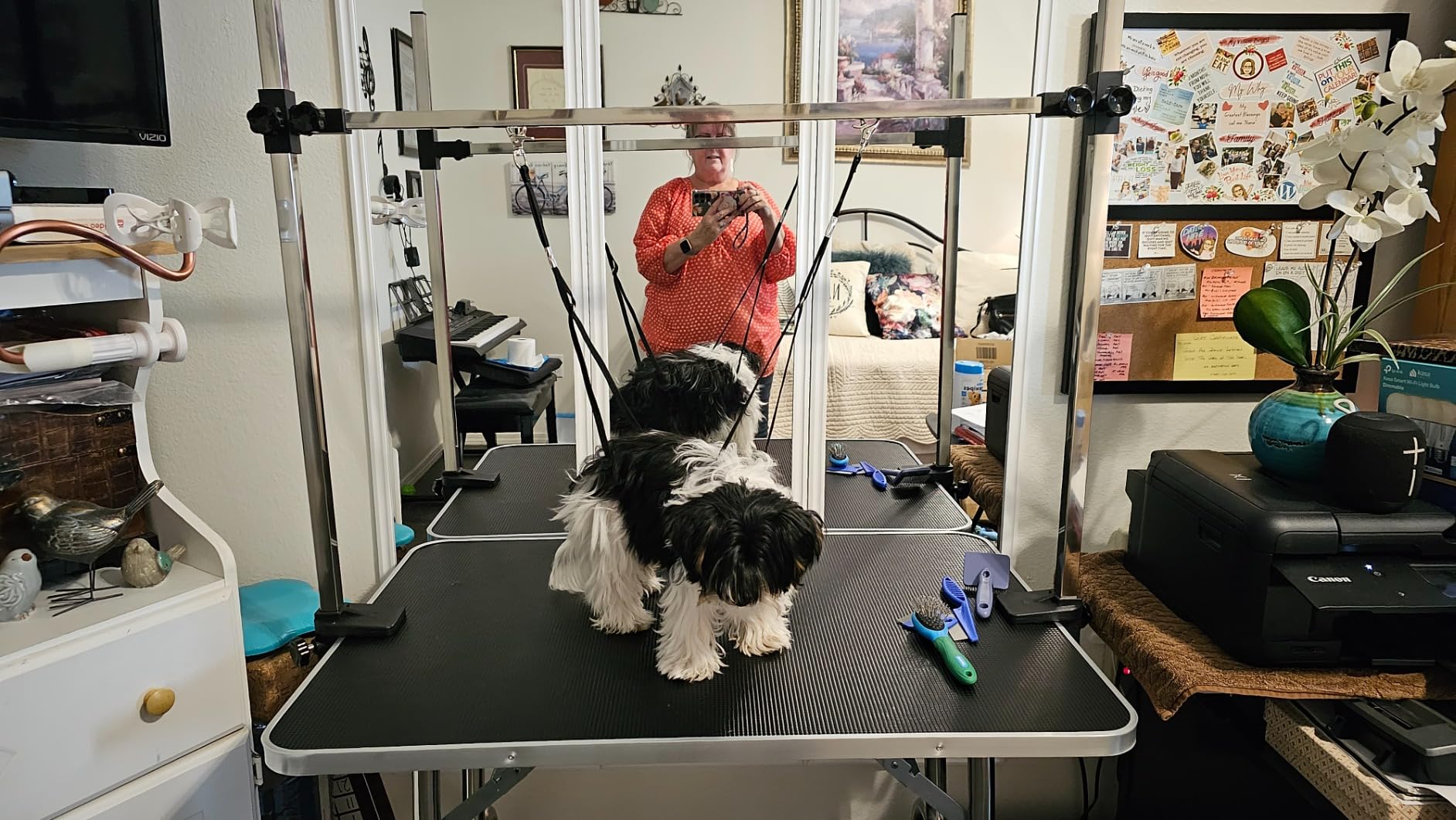 Lyromix 36'' Foldable Dog Grooming Table with Arms/Nooses/Mesh Tray, Black customer photo 2