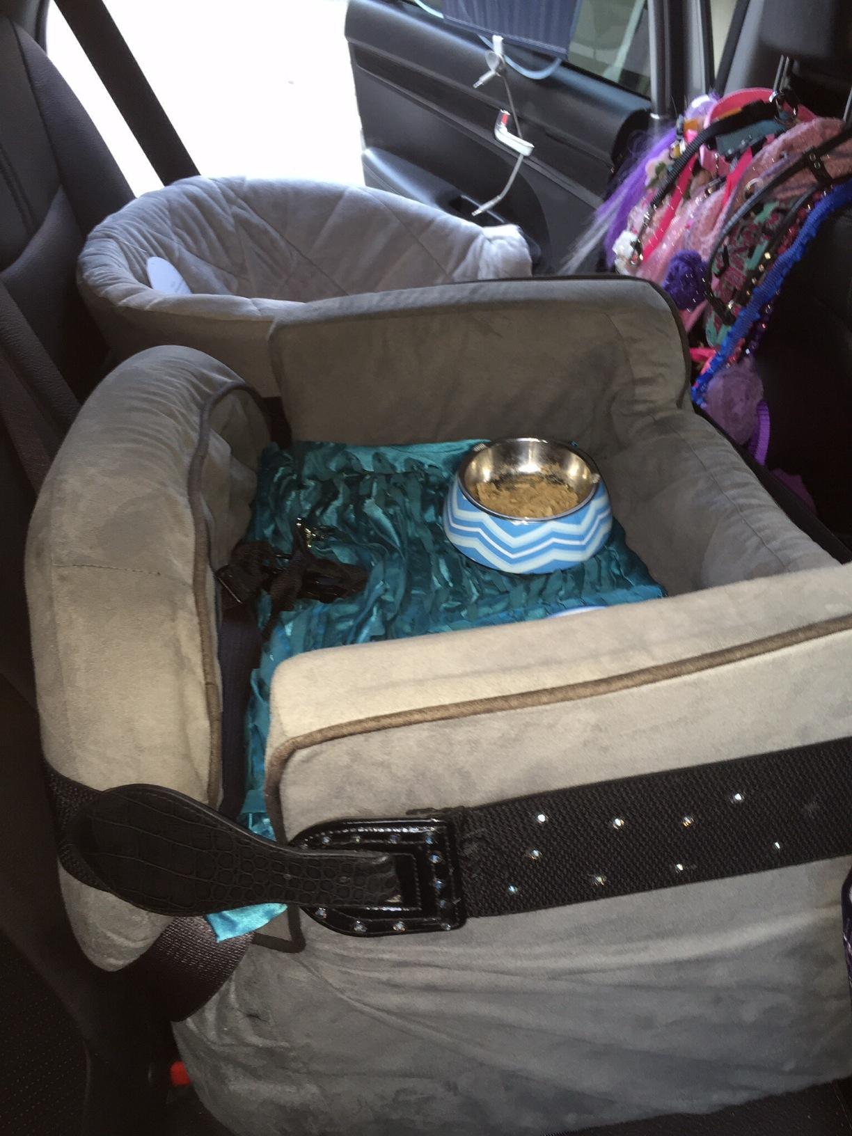 K&H Bucket Booster Dog Car Seat, Cat & Dog Booster Seat, Small Black/Cream customer photo 2