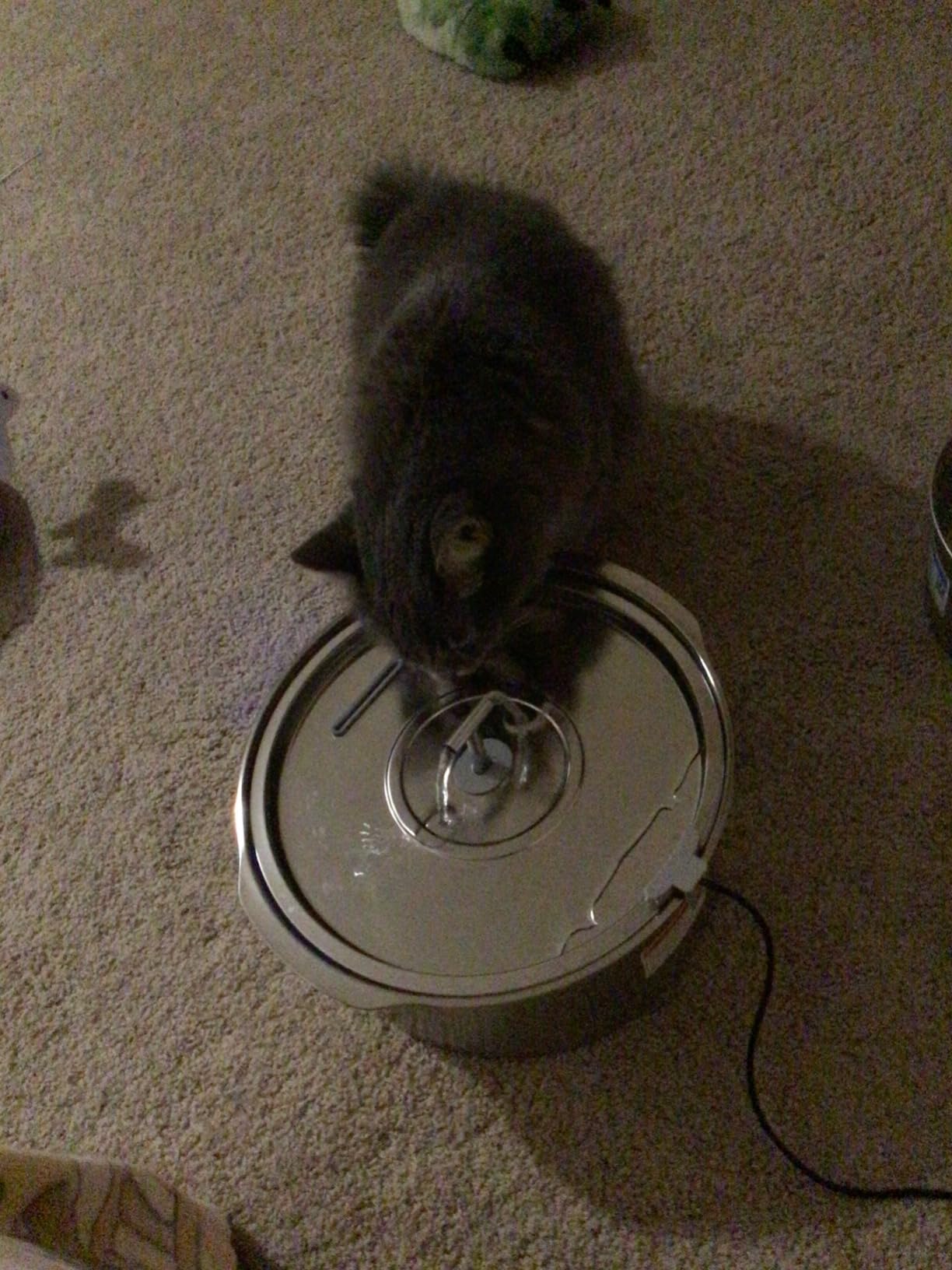 Cat Water Fountain Stainless Steel: Rellaty 3.2L/108oz Pet Water Fountain customer photo 2