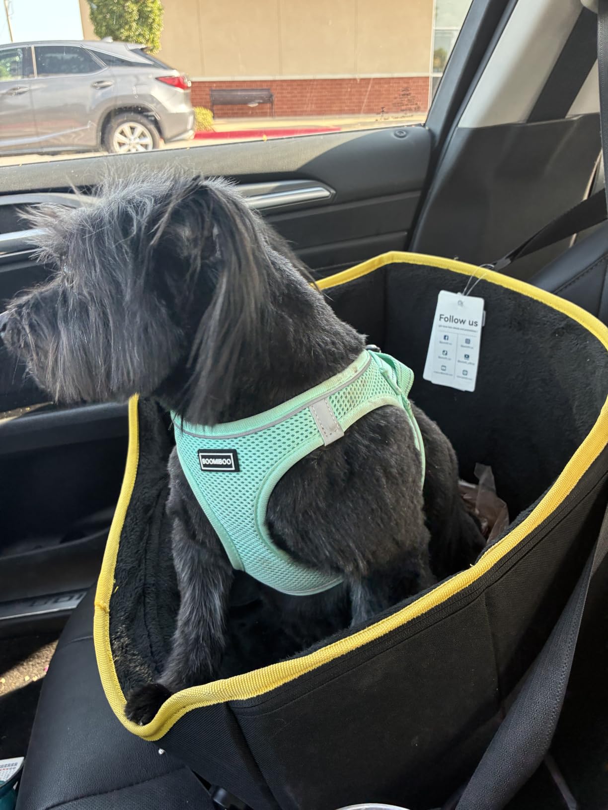 PETSFIT Dog Car Seats for Small Dogs – Patented Safety Buckles – Safety Tether – Foldable Travel Dog Booster Car Seat Reduces Anxiety & Road Trips – Stable Frame, Soft Cushion, Fits Front/Back Seat customer photo 1