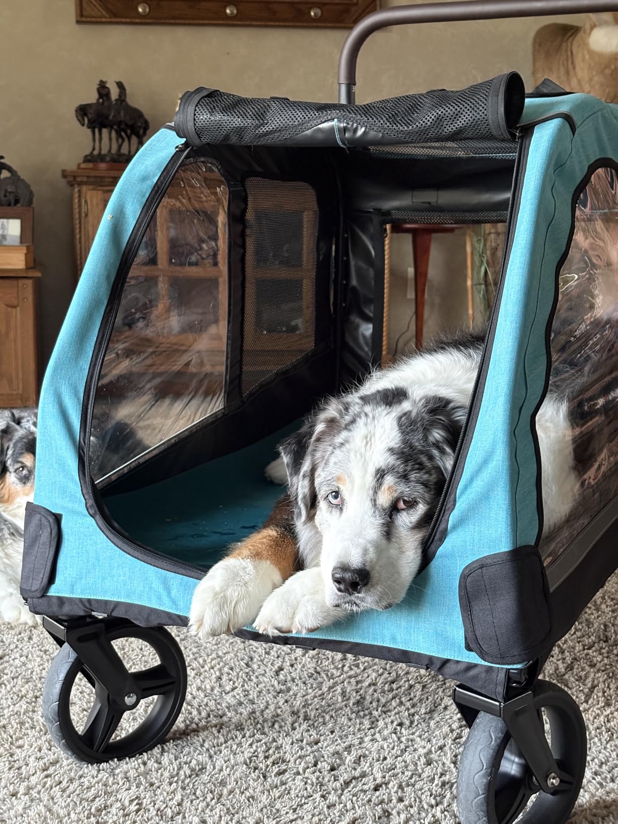 Saudism Dog Stroller for Large & Medium Dogs, Extra Large Pet Stroller, Dog Wagon for 2 Dogs, Foldable Design, Adjustable Handle, with Pocket, Up to 130 lbs customer photo 1