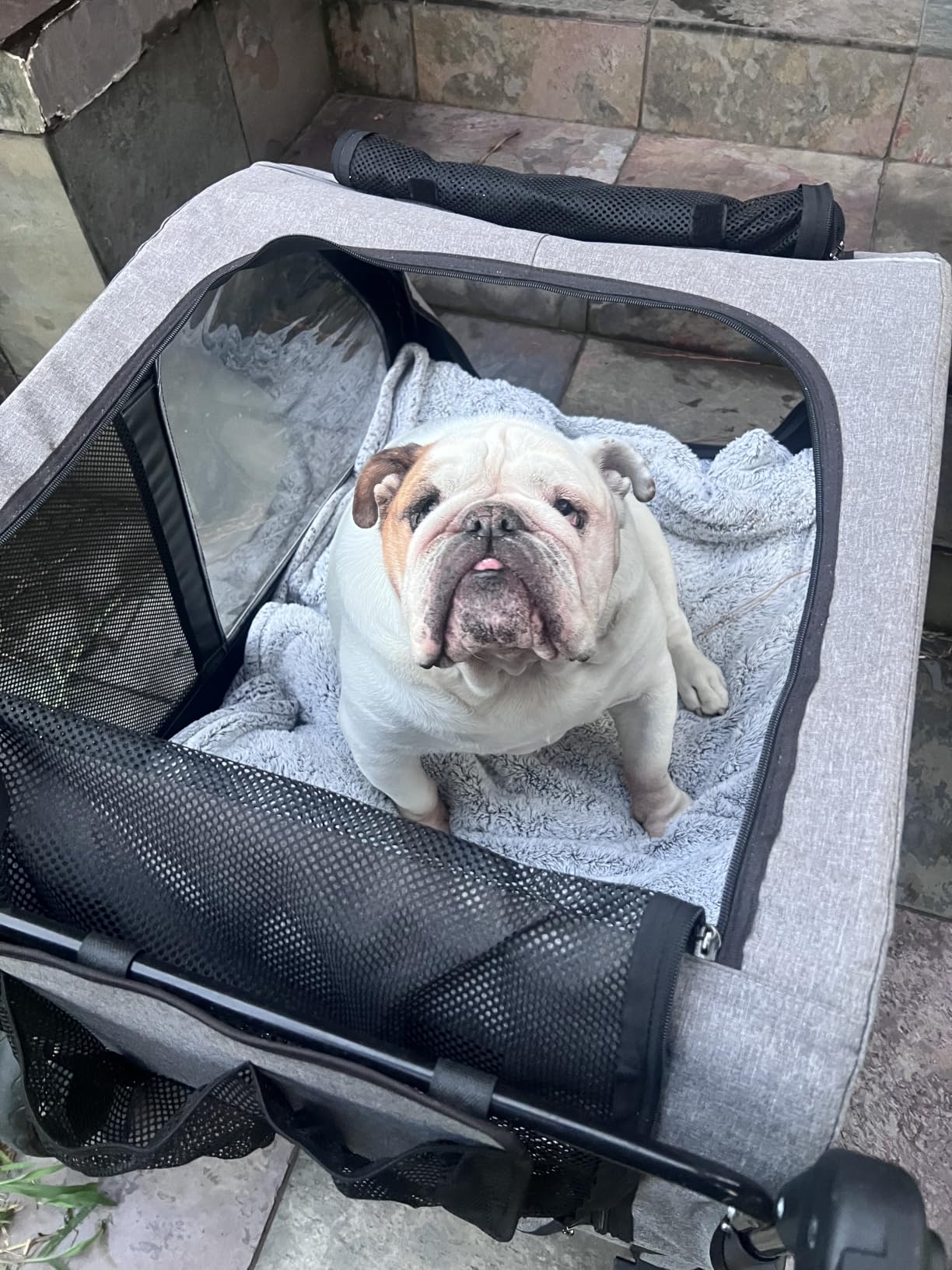 Saudism Dog Stroller for Large & Medium Dogs, Extra Large Pet Stroller, Dog Wagon for 2 Dogs, Foldable Design, Adjustable Handle, with Pocket, Up to 130 lbs customer photo 2