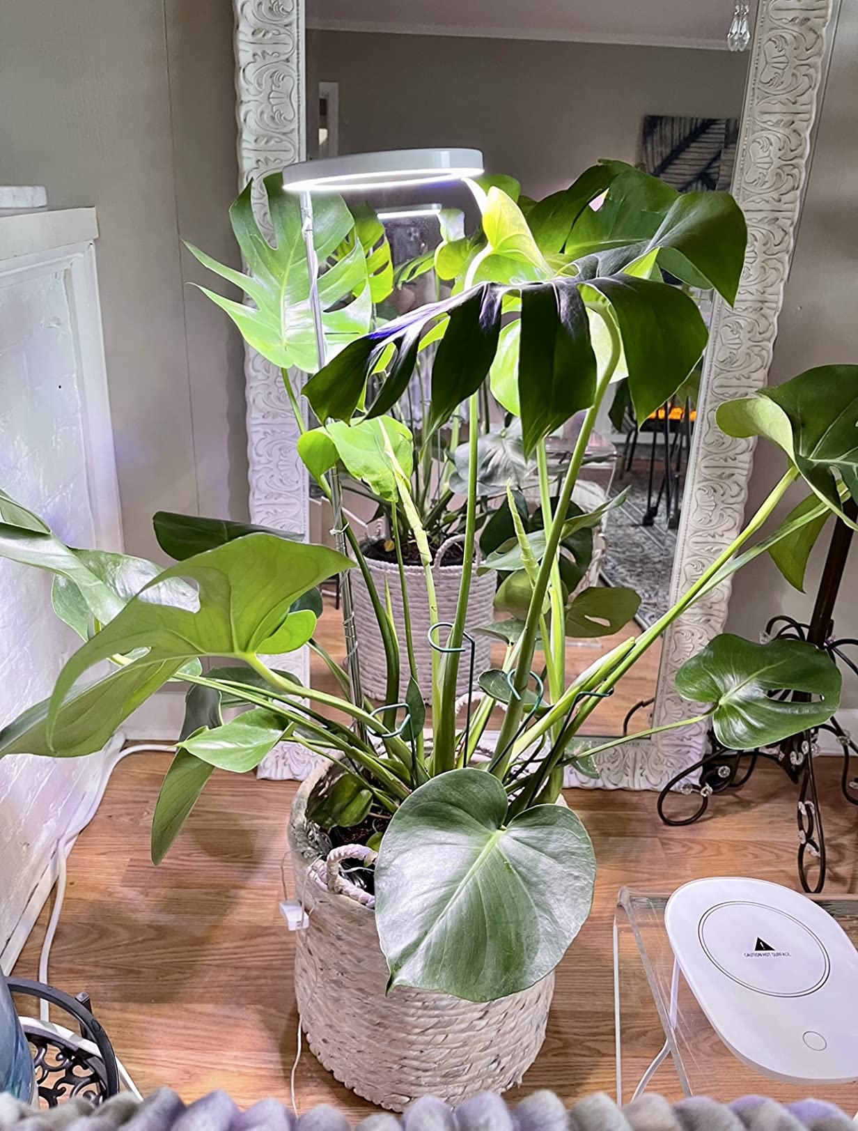 Grow Lights for Indoor Plants, yadoker Full Spectrum 6.3