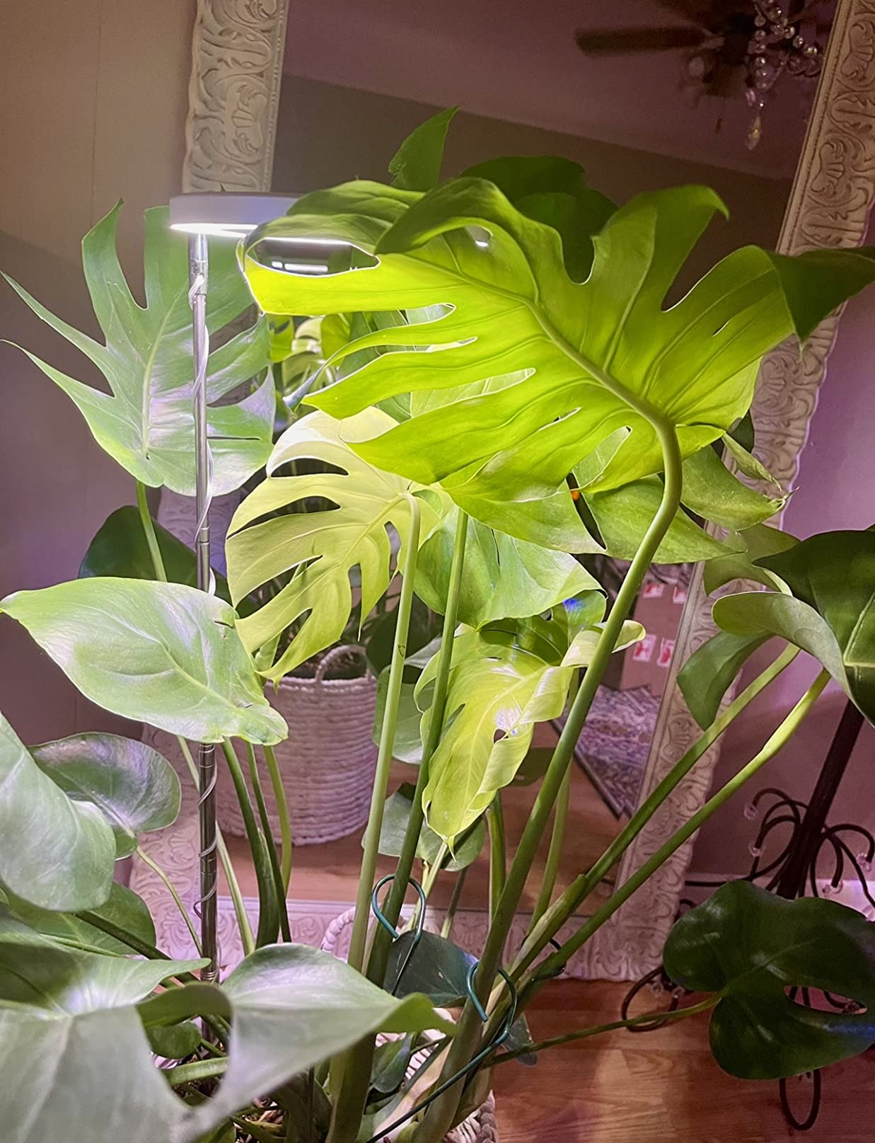 Grow Lights for Indoor Plants, yadoker Full Spectrum 6.3
