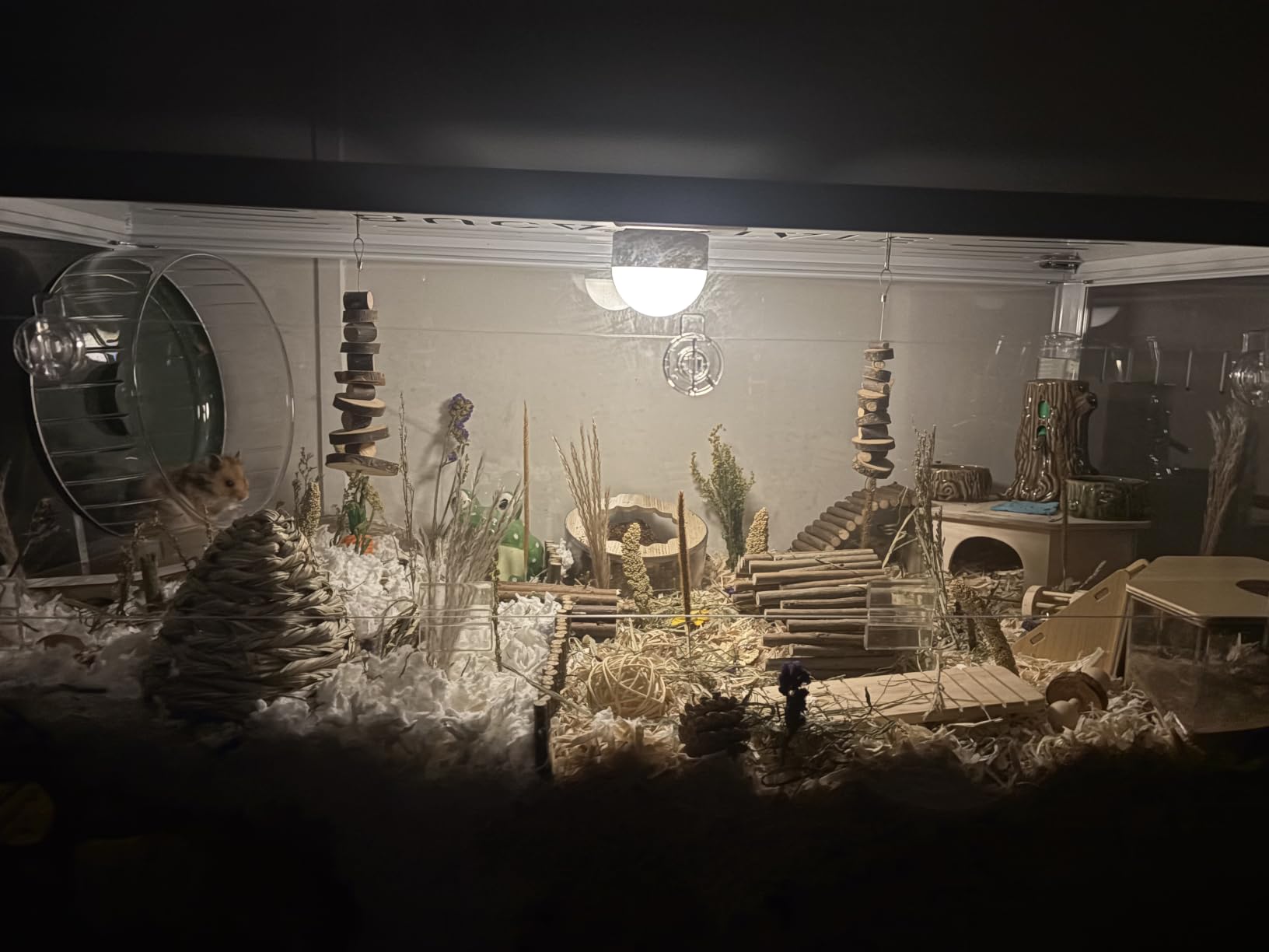 BUCATSTATE Hamster Cage 2.0, Large Hamster Enclosure (39in, White) customer photo 1