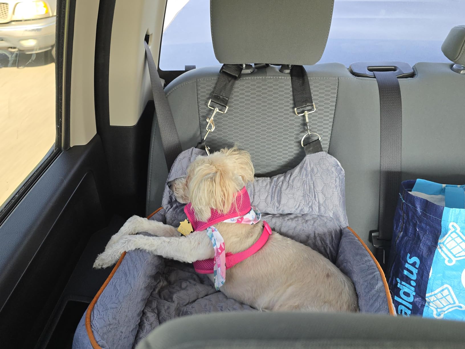 Dog Car Seat for Small Dogs Up to 25 lbs with 6-Inch Memory Foam Cushion customer photo 1