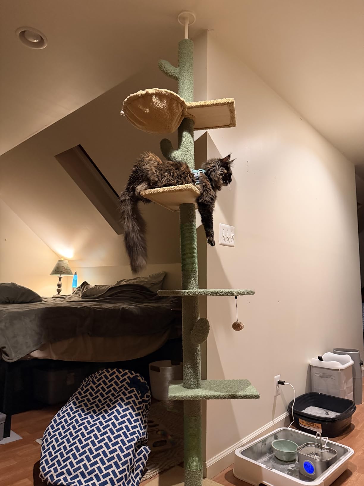PAWZ Road Cactus Floor-to-Ceiling Cat Tree 5-Tier Cat Tower with Hammock customer photo 2