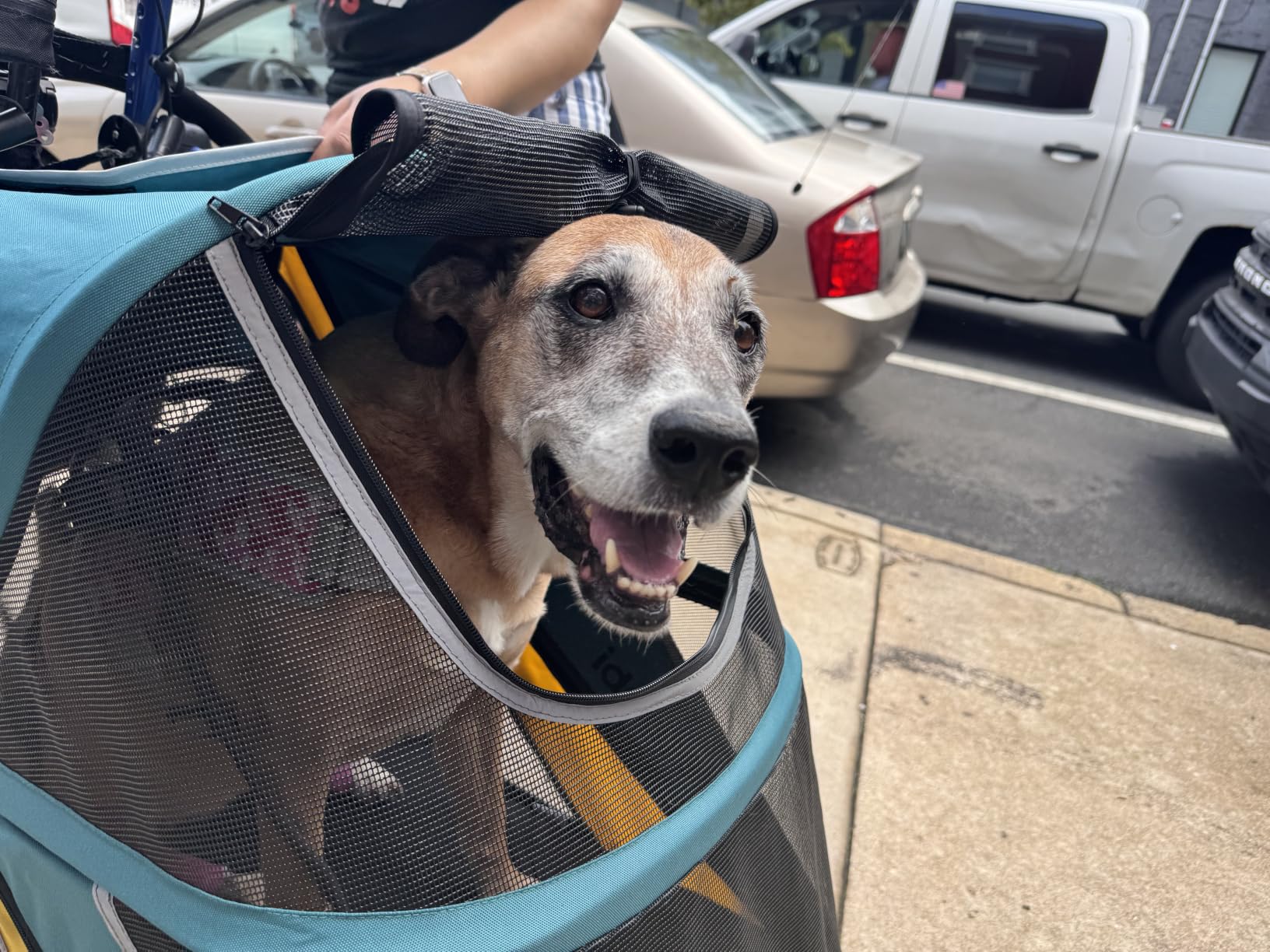 Petbobi Dog Stroller for Large Medium Dogs up to 80 lbs, Dual Entry customer photo 1