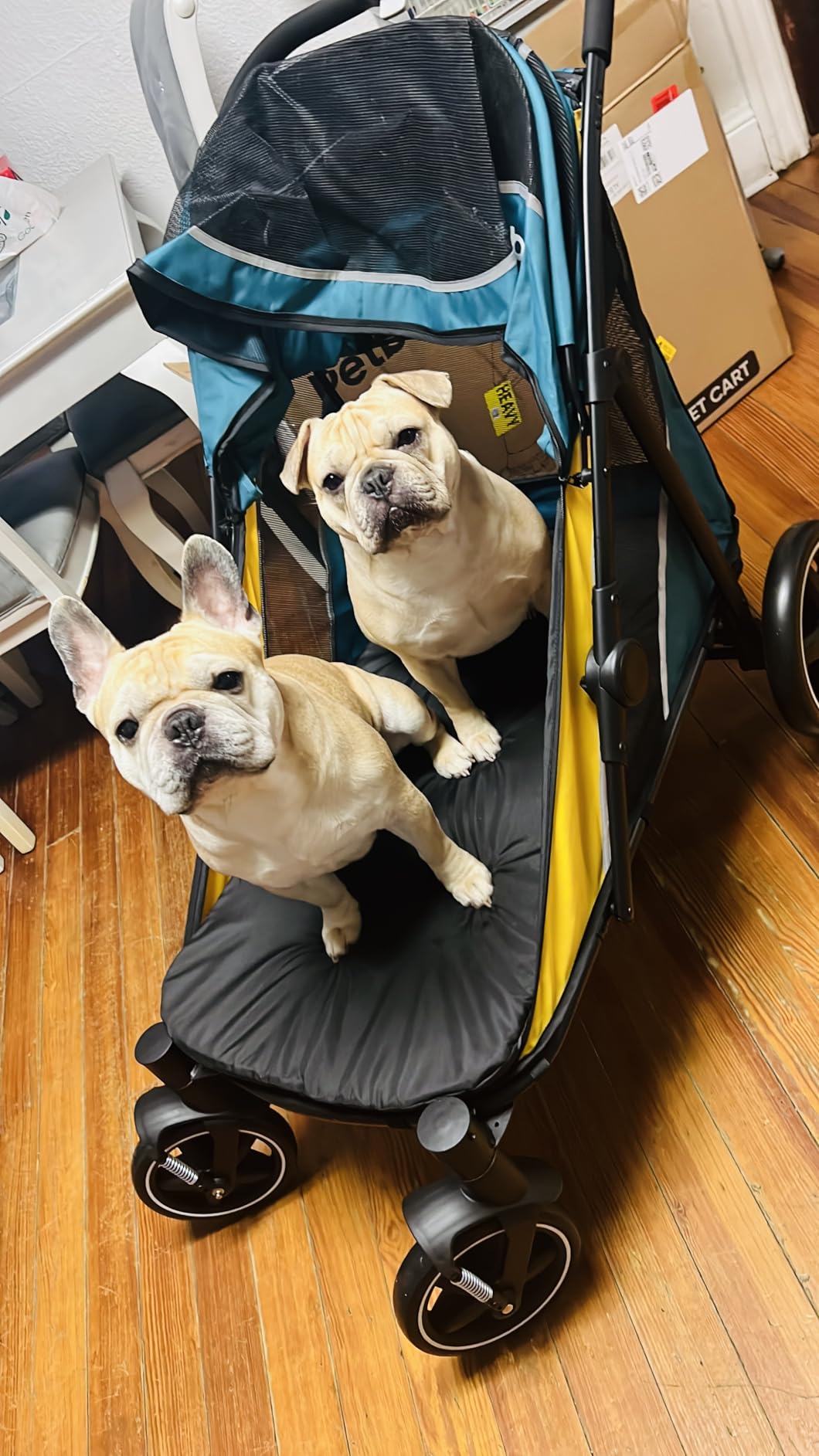 Petbobi Dog Stroller for Large Medium Dogs up to 80 lbs, Dual Entry customer photo 2