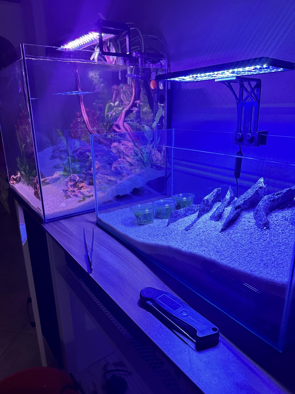 SEAOURA Clip On Aquarium Light for Plants-24/7 Fish Tank Light, 12-20 Inch customer photo 2