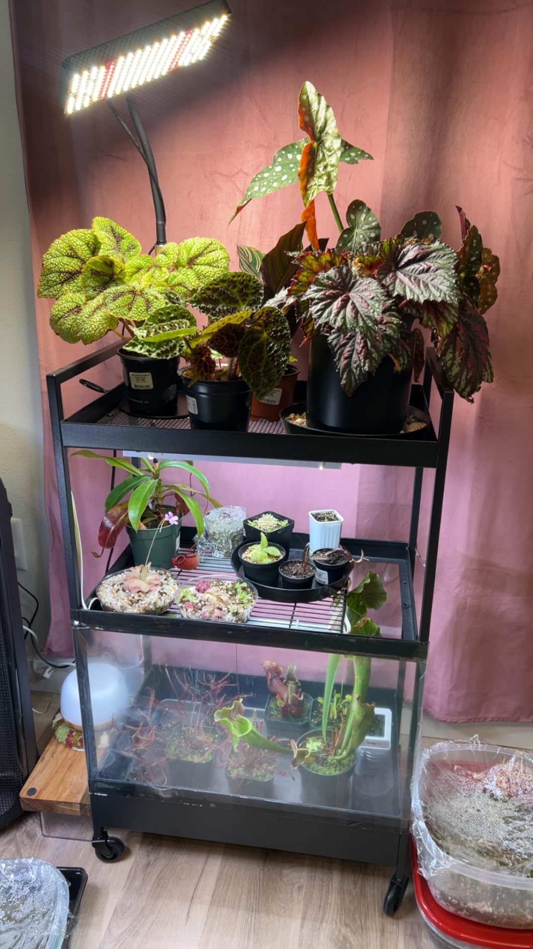 Barrina T5 Grow Lights for Indoor Plants, Full Spectrum, 1ft 5000K, 4 Packs customer photo 1