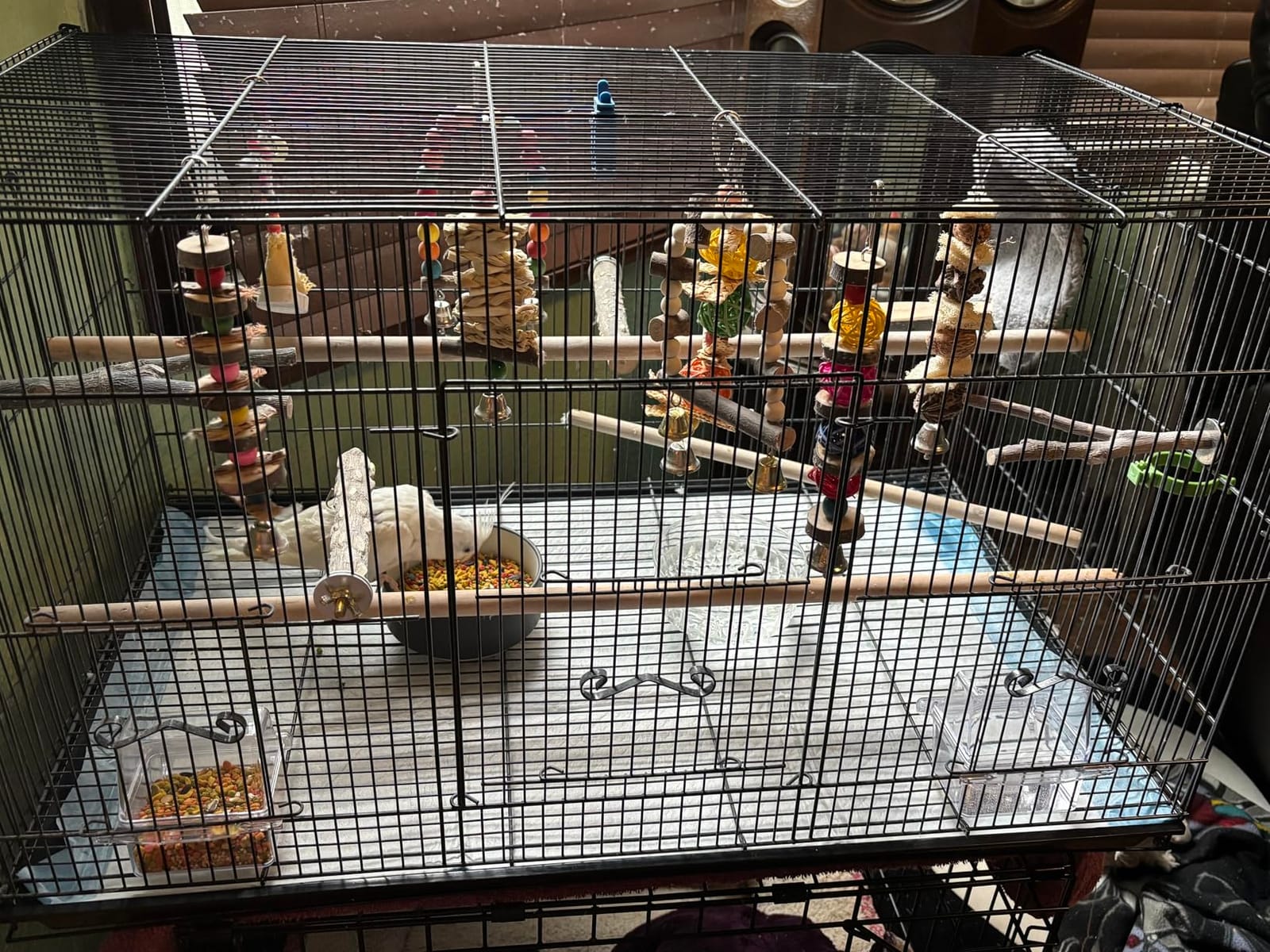 VEVOR 30 Inch Flight Bird Cage, Stackable Bird Cage Parakeet Cage with Slide-Out Tray and Handle, Small Parrots Birdcage for Cockatiels Budgies Conure Macaw Finch Lovebirds Canaries Pigeons customer photo 1