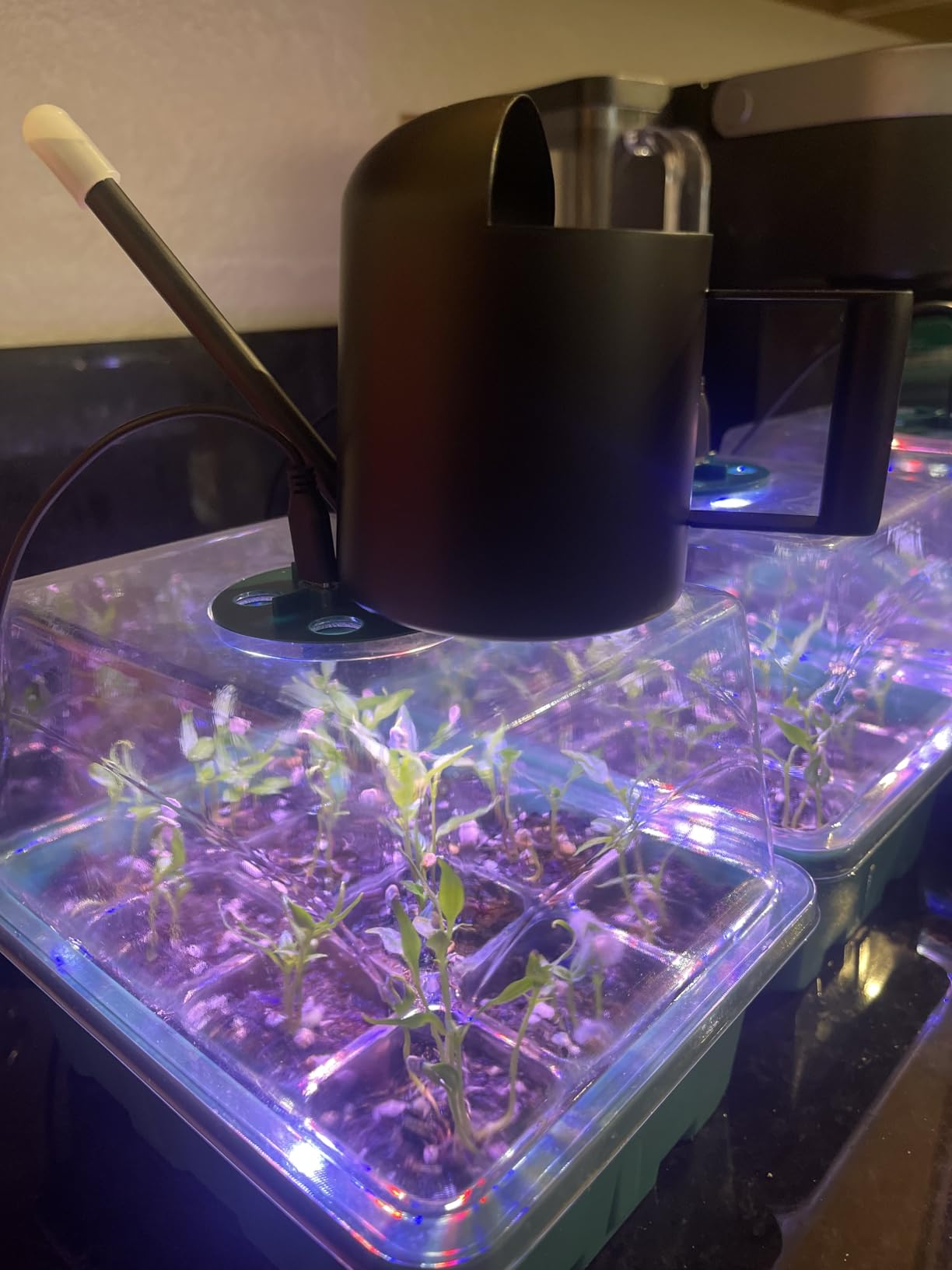 Seed Starter Trays with Grow Lights and Heat Mat, 72 Cells Seed Starter Kit with Lights, 3 Lighting Mode, 4 Timing Set, Germination Kit for Seed Starting Trays with High Humidity Control Domes customer photo 1