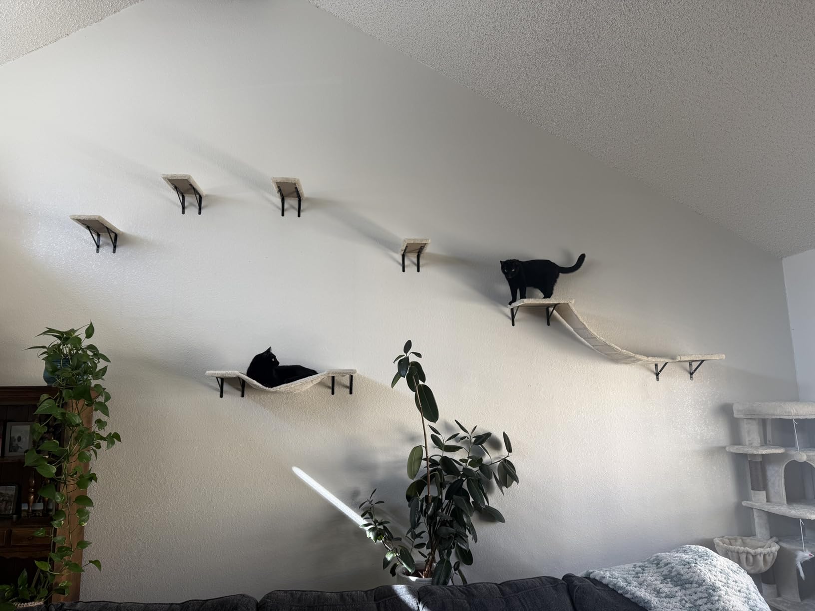 Cat Wall Shelves, Space-Saving Wood Cat Wall Furniture for Indoor Cats customer photo 1