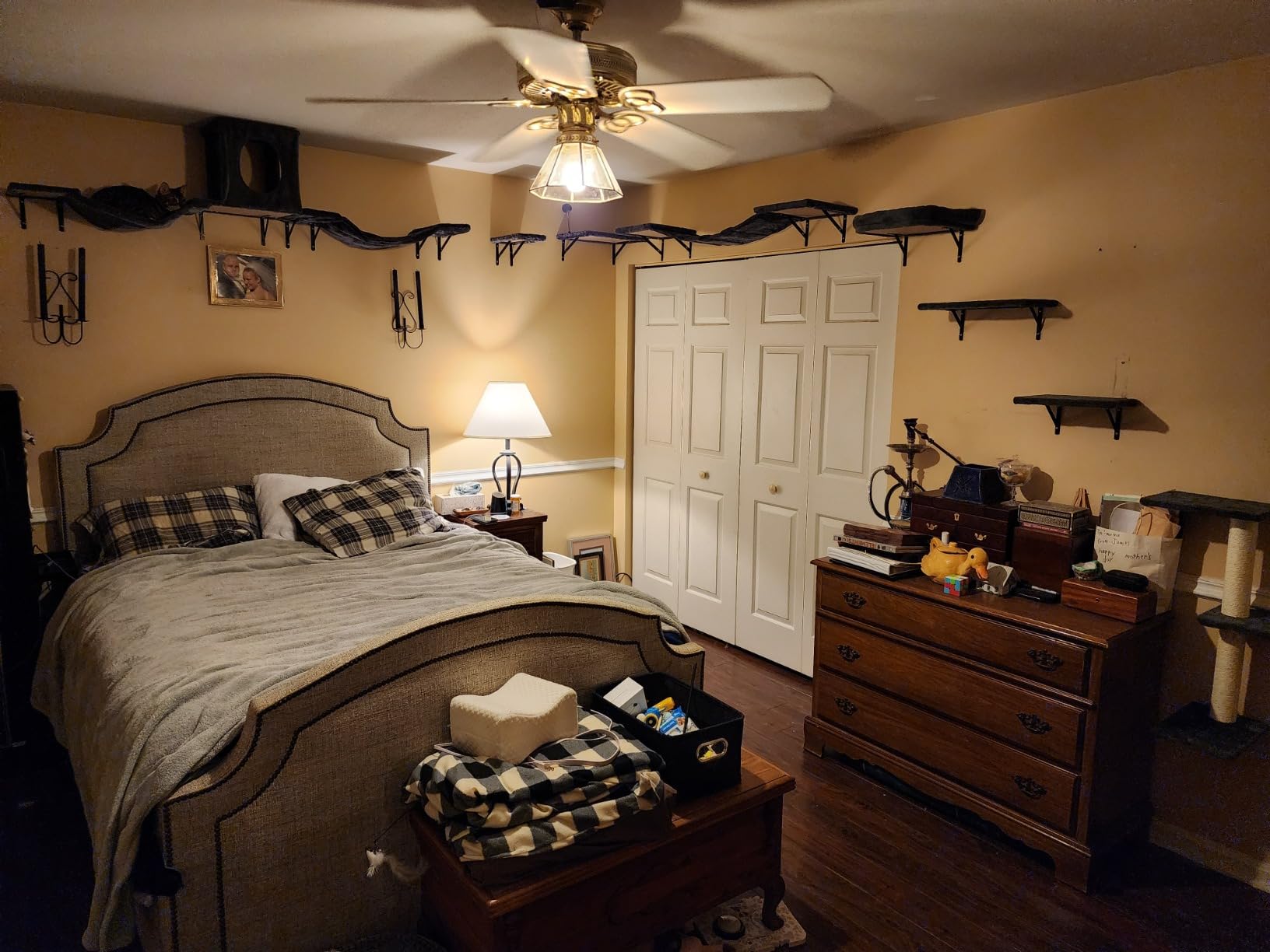 Cat Wall Shelves, Space-Saving Wood Cat Wall Furniture for Indoor Cats customer photo 2