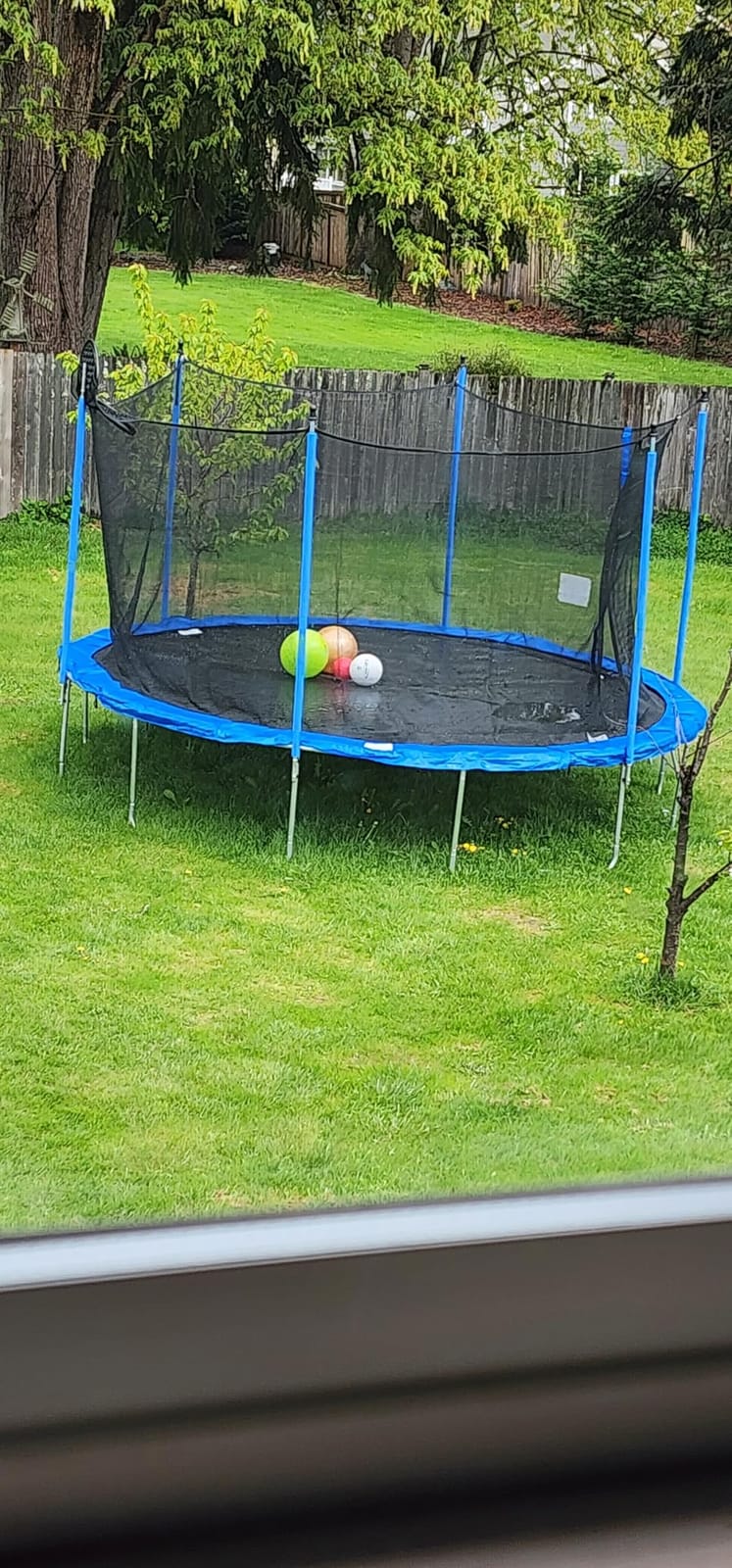 14FT Heavy-Duty Outdoor Trampoline with Basketball Hoop for Teens & Adult customer photo 2