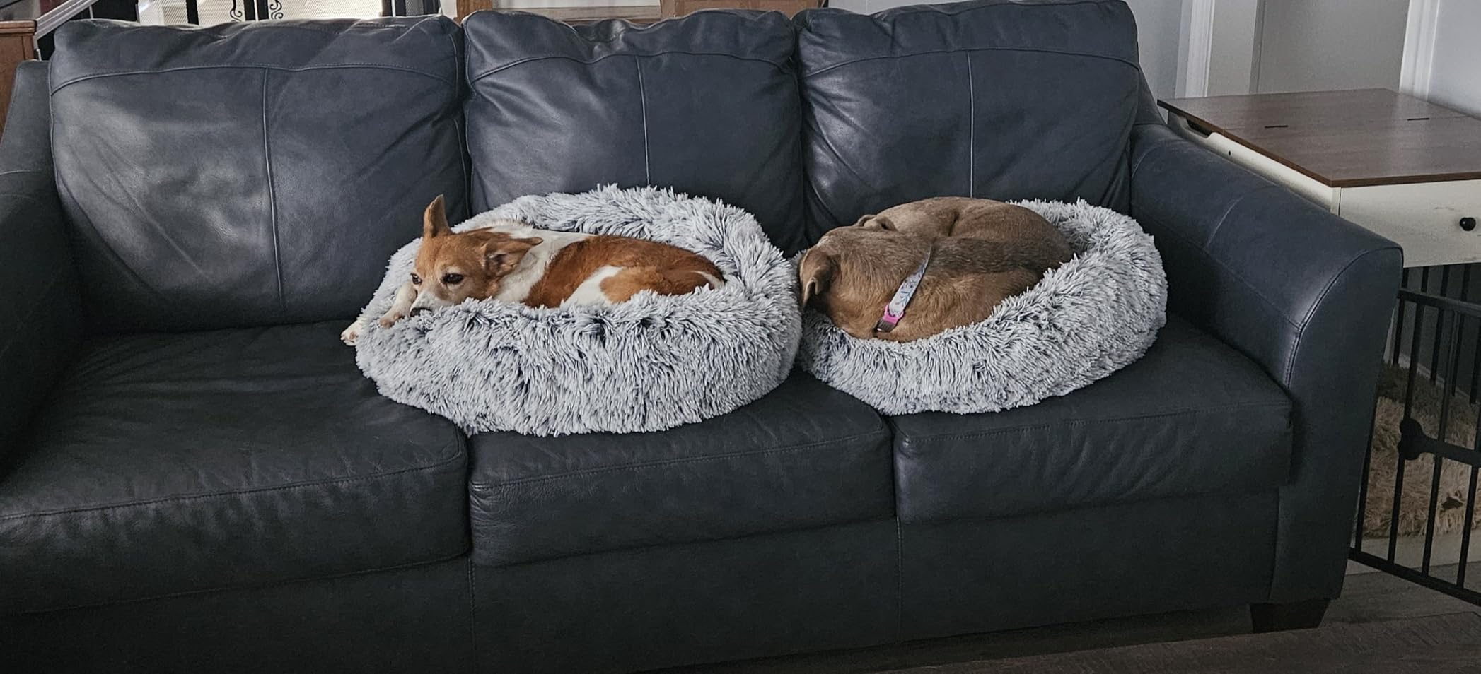 Amazon Basics Washable Donut Pet Bolster Faux Fur Bed with Removable Cover, Anti-Slip Bottom for Dog, Beige, 23